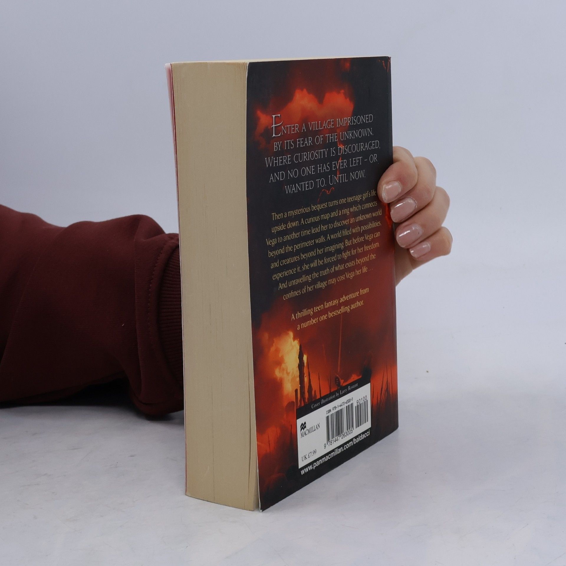 David Baldacci The finisher