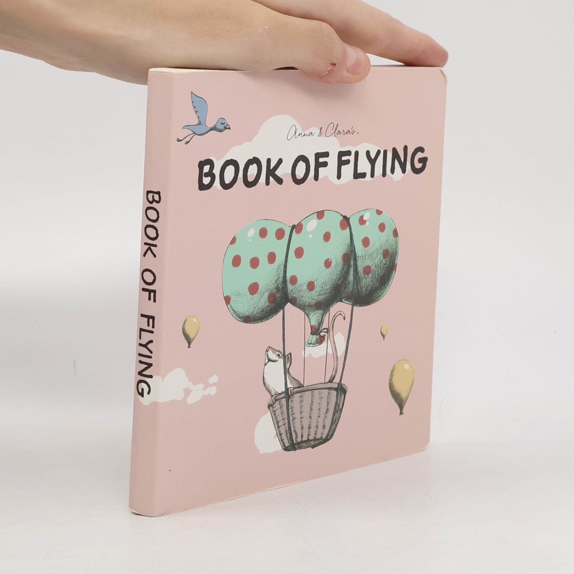 Autores varios Book of Flying