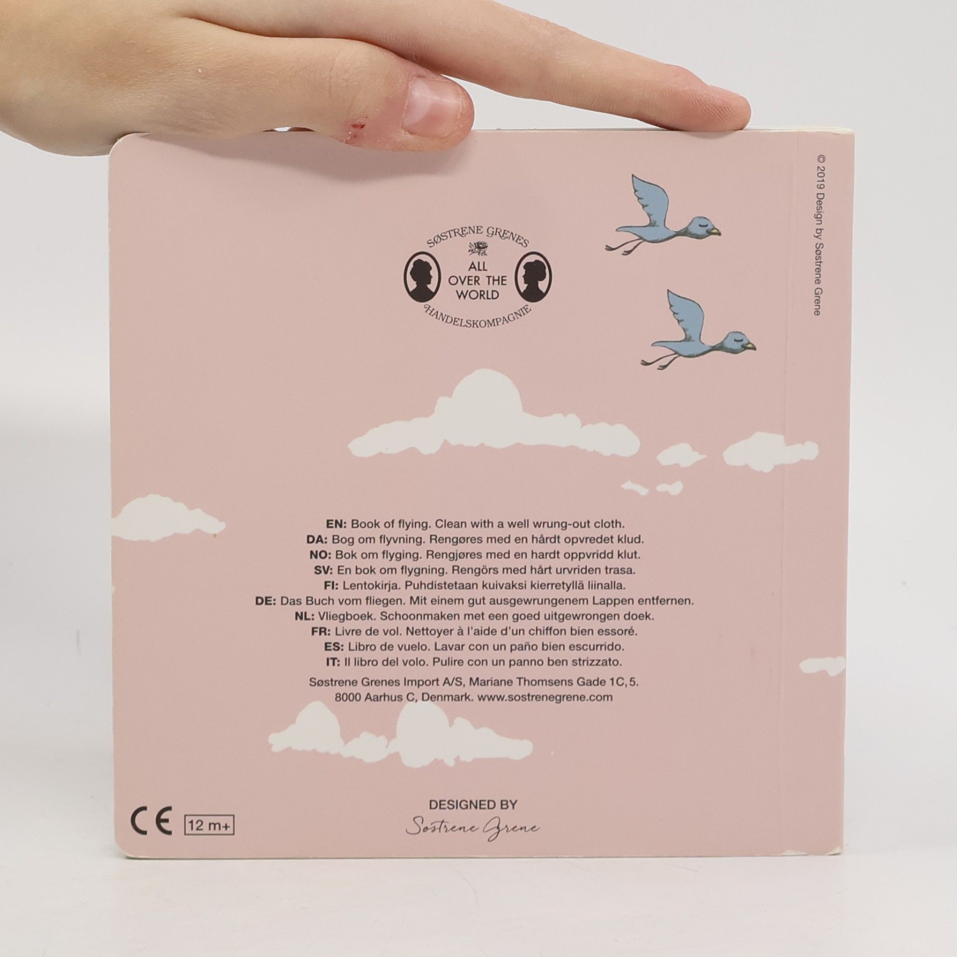 Autores varios Book of Flying