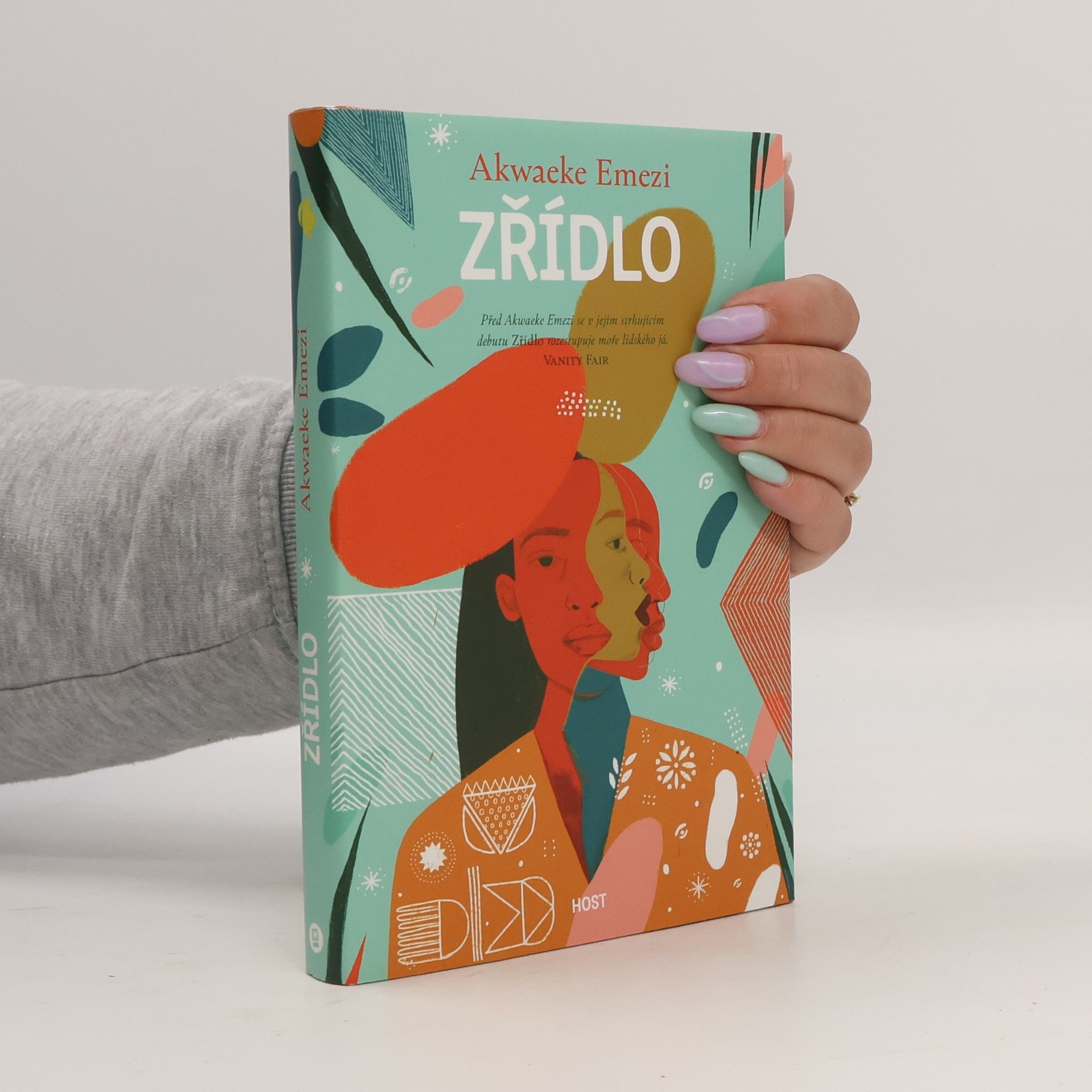 Akwaeke Emezi Zřídlo