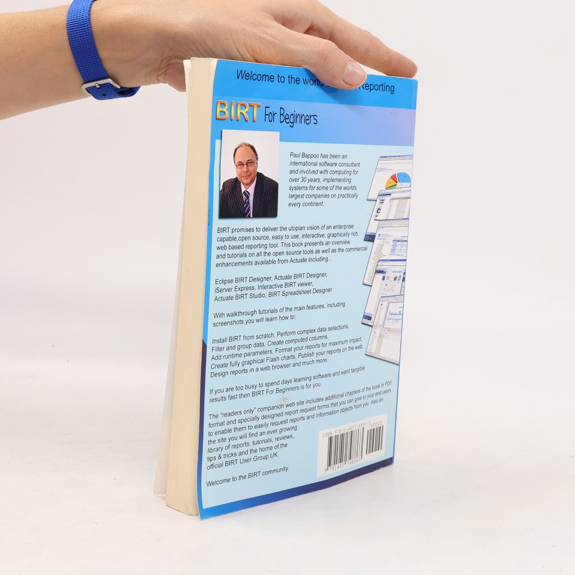 Paul Bappoo BIRT for Beginners