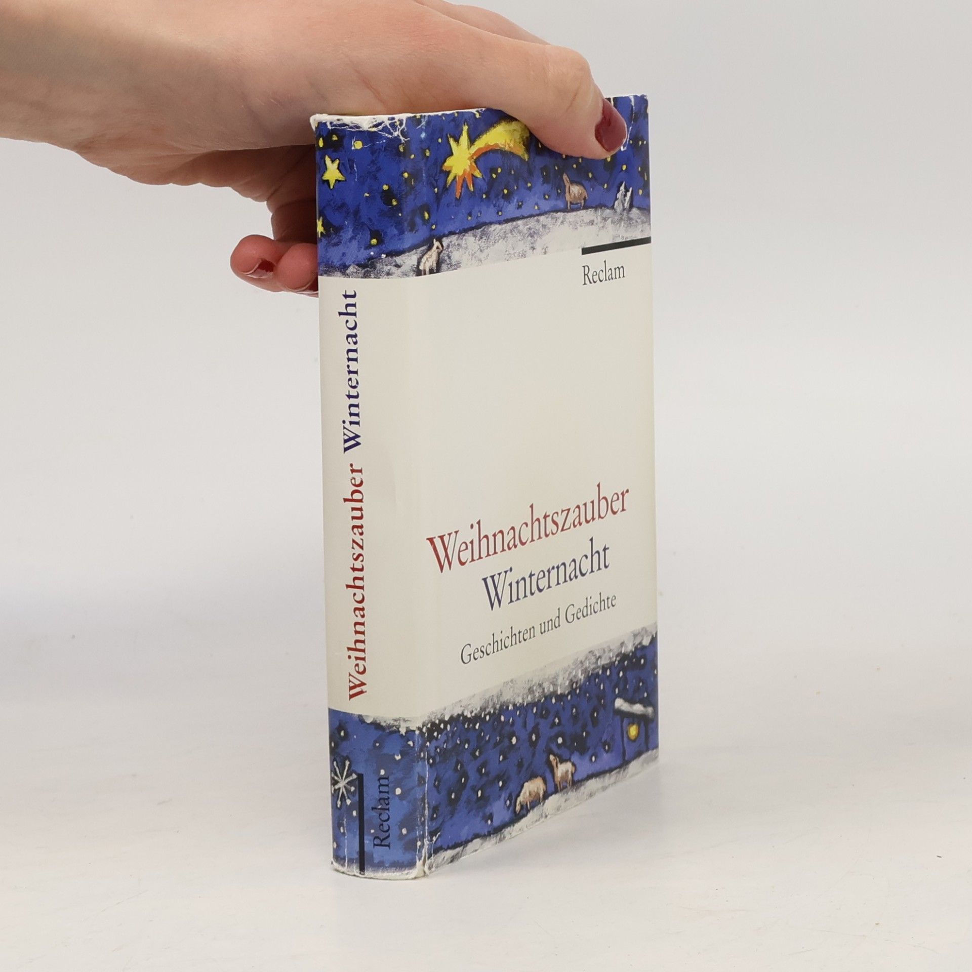 Stephan Koranyi Weihnachtszauber Winternacht