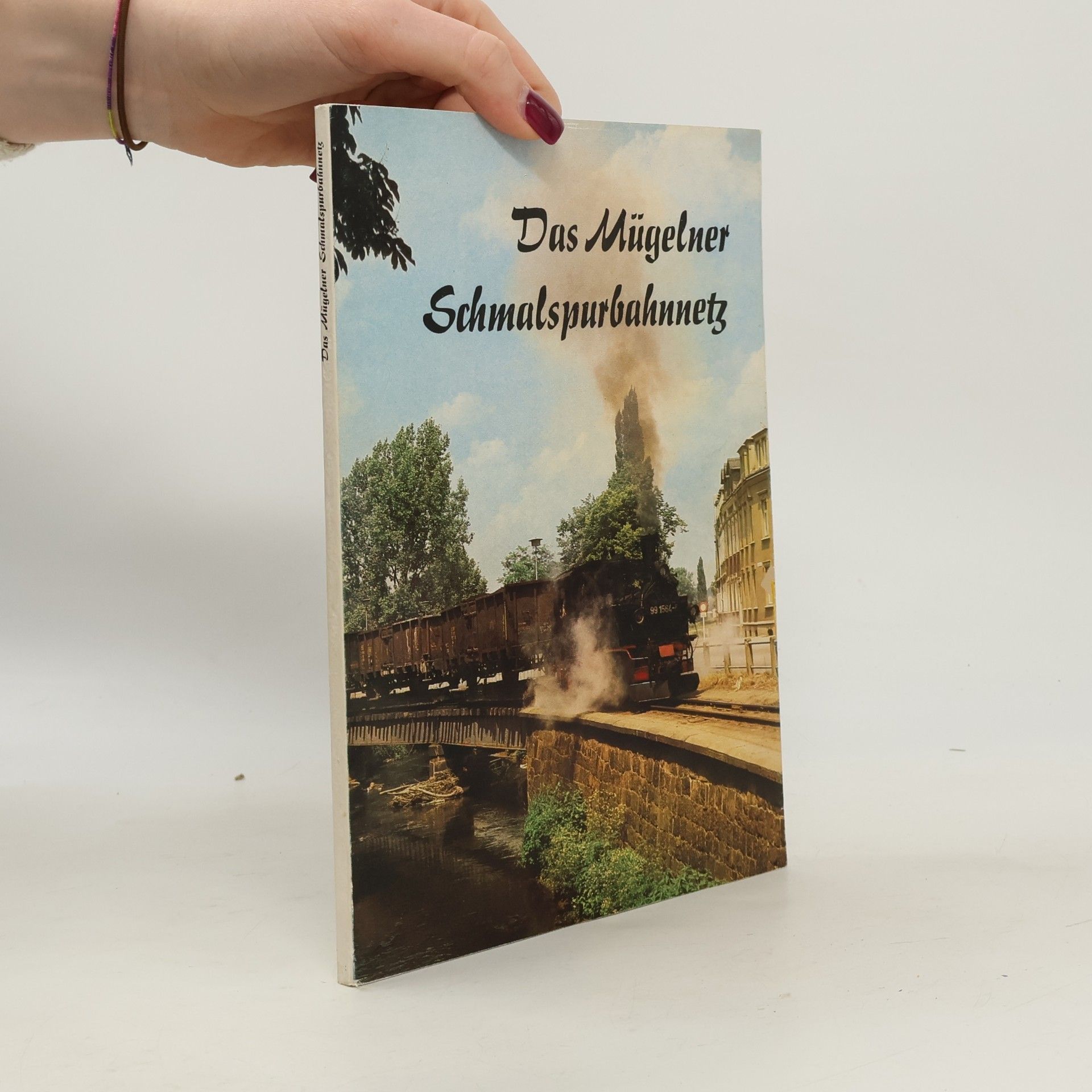 Autorenkollektiv Das Mügelner Schmalspurbahnnetz