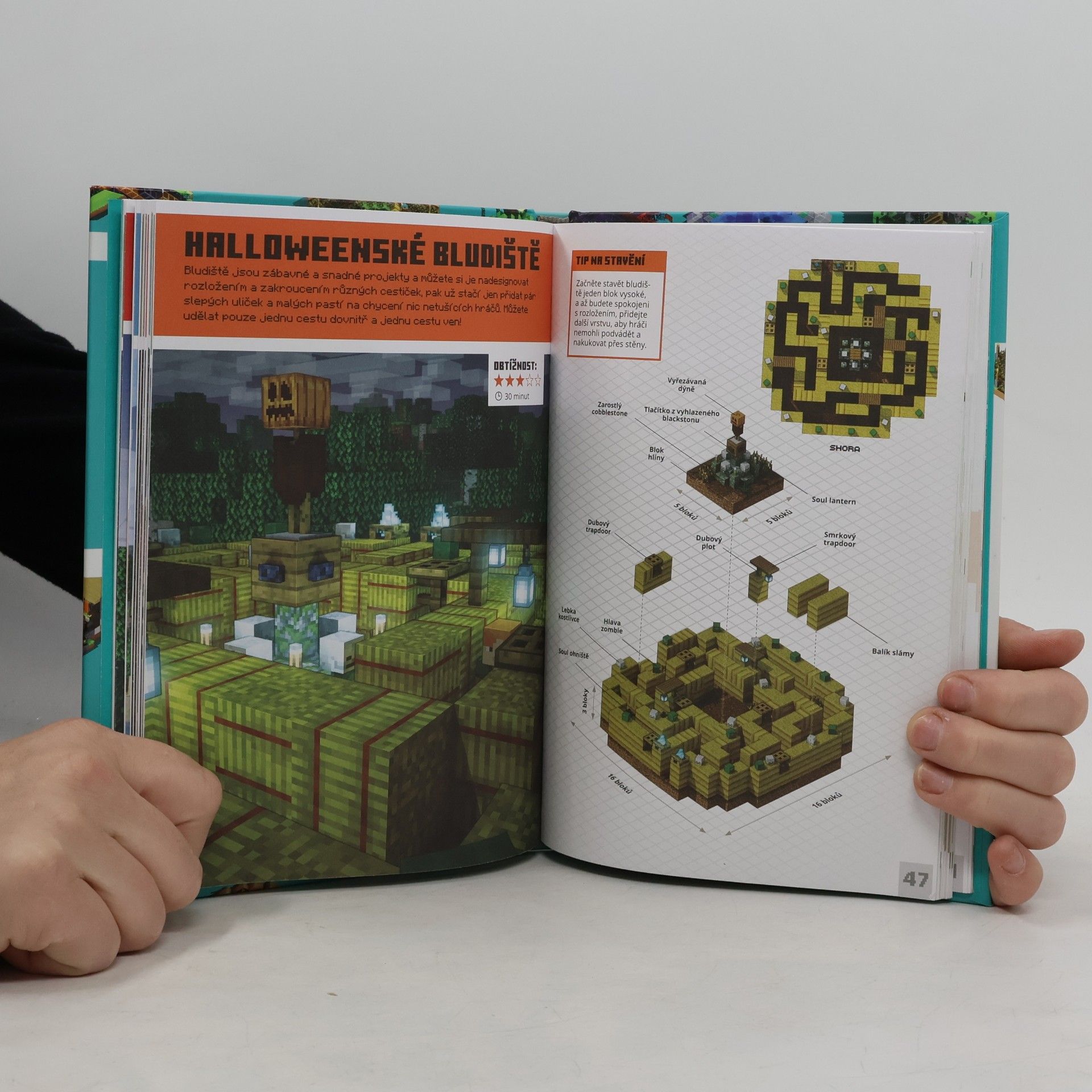 Autorenkollektiv Minecraft. Stavební chuťovky
