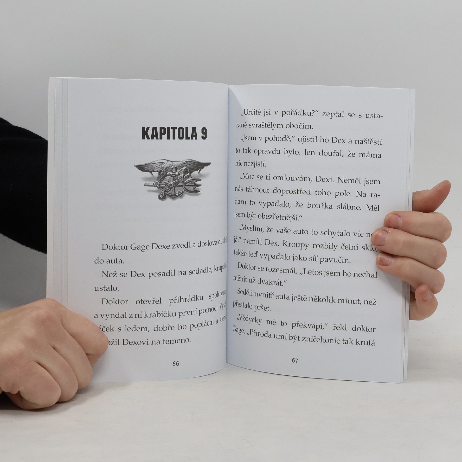 Lauren Tarshis Zuřící živel: přežil jsem tornádo v Joplinu, 2011
