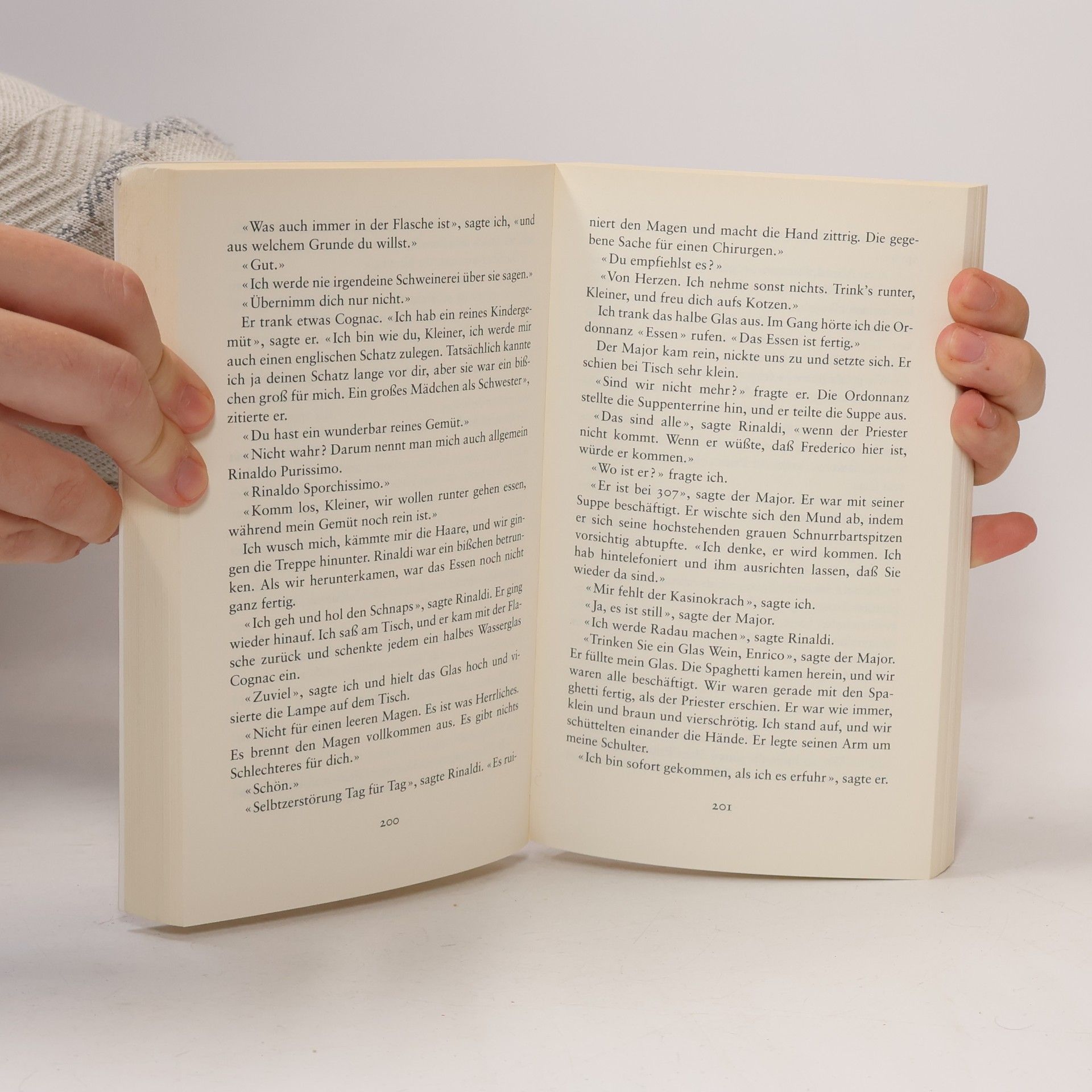Ernest Hemingway In einem andern Land