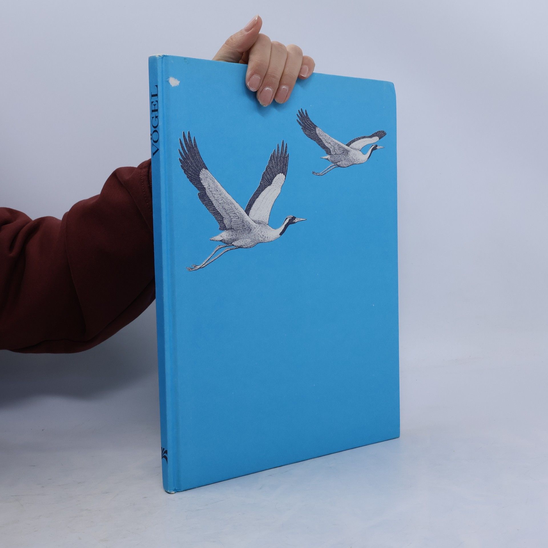 Autorenkollektiv Vögel