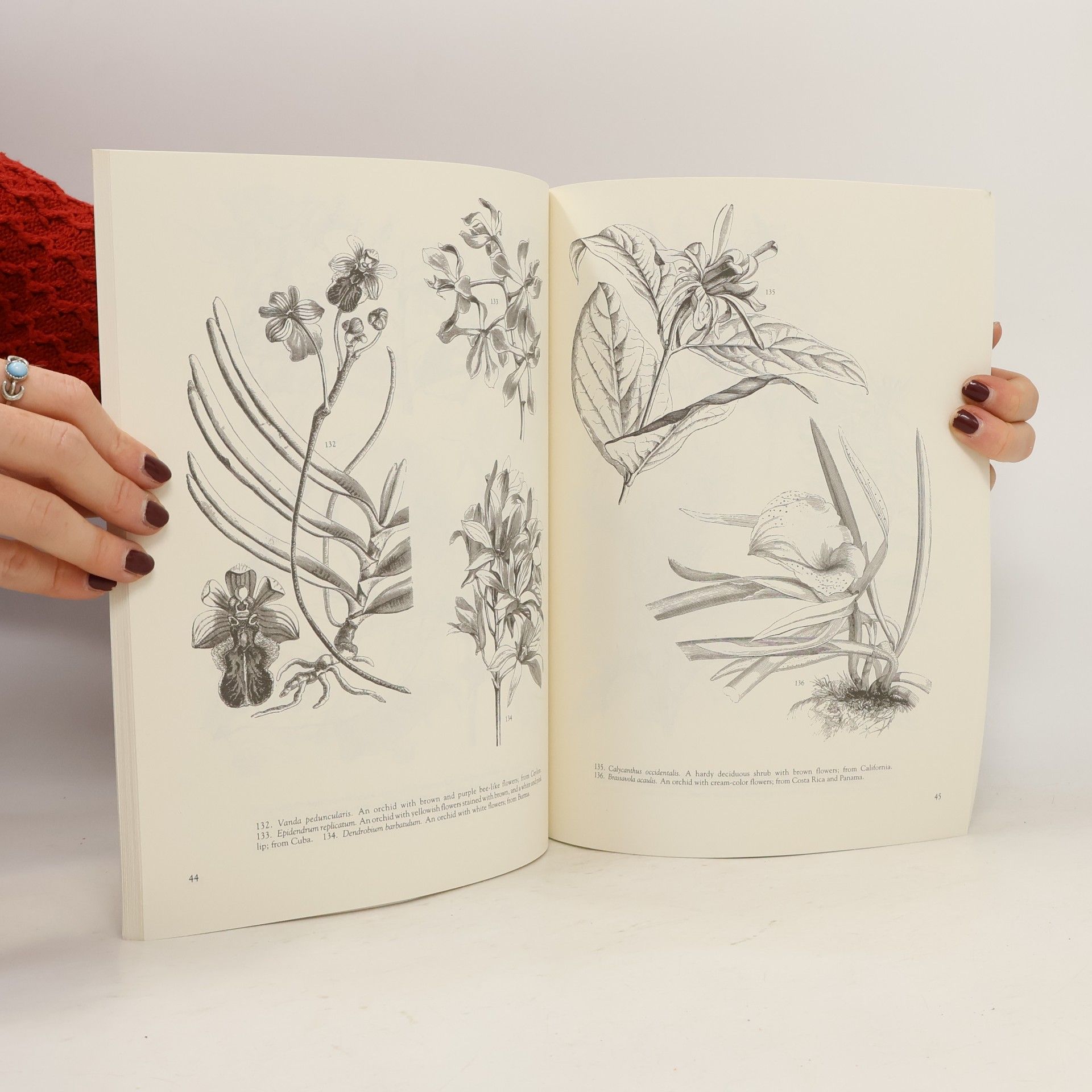 Carol Belanger Grafton Victorian Floral Illustrations
