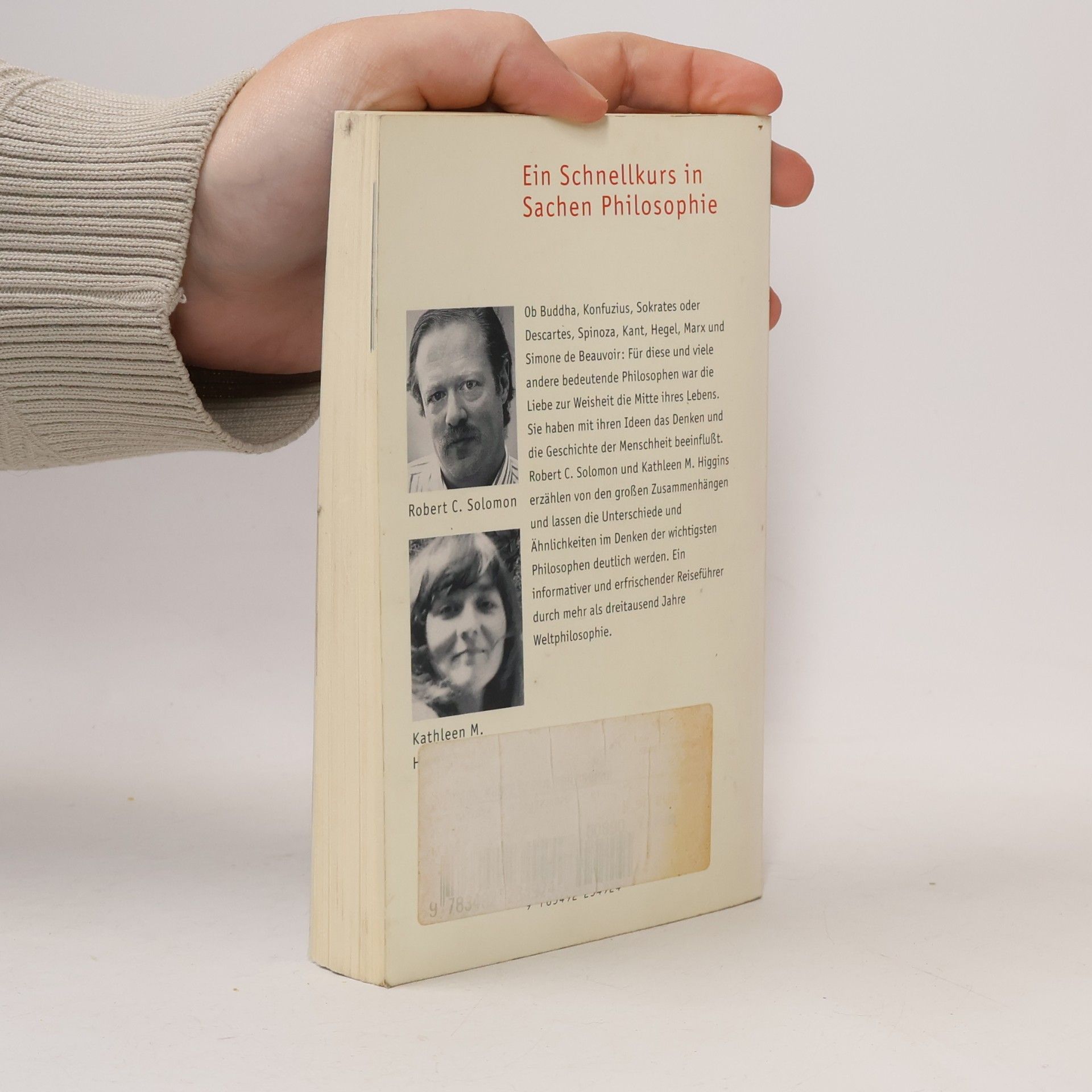 Robert Solomon Piper Taschenbuch - 3492: Eine kurze Geschichte der Philosophie