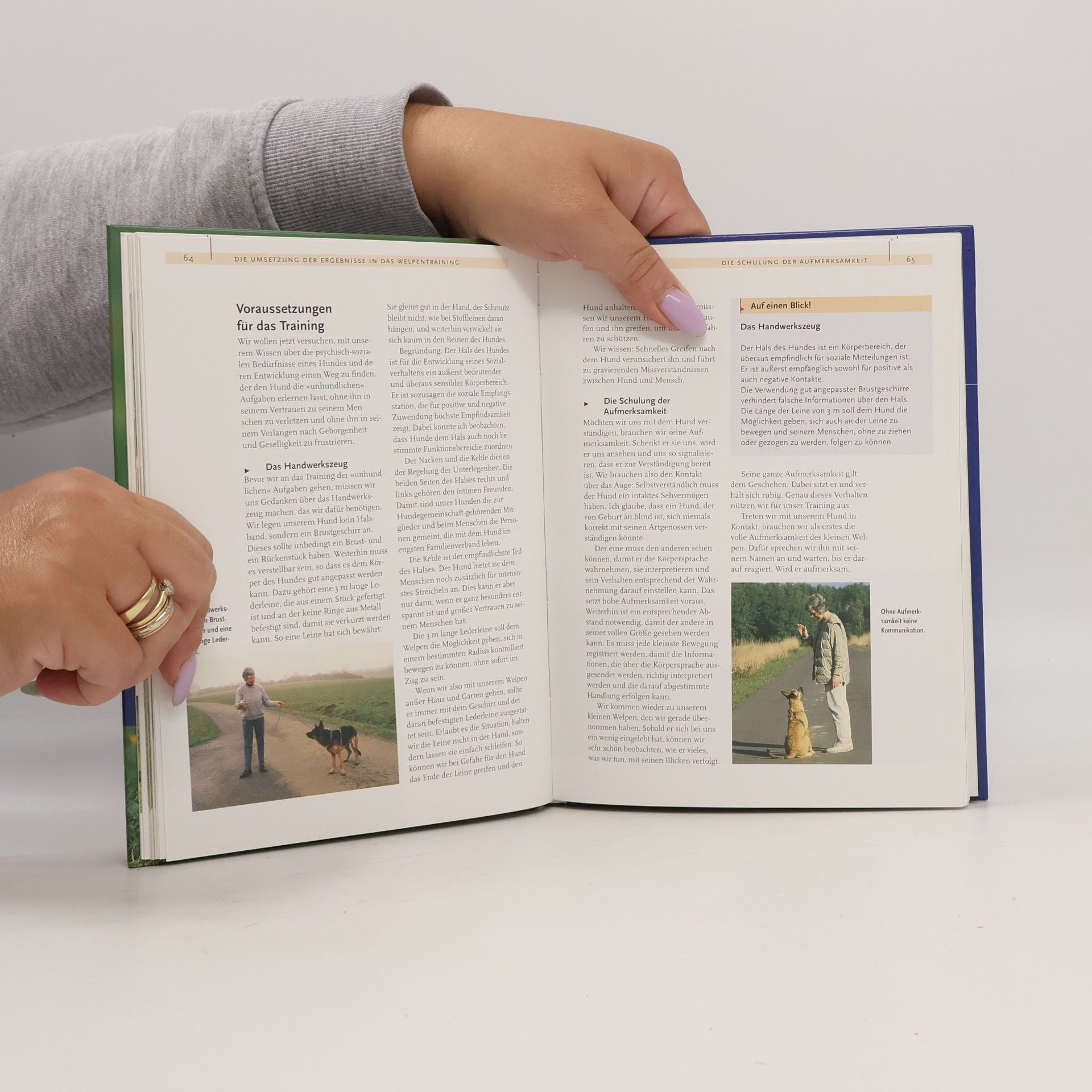Gudrun Feltmann- von Schroeder Welpentraining mit Gudrun Feltmann der gute Start
