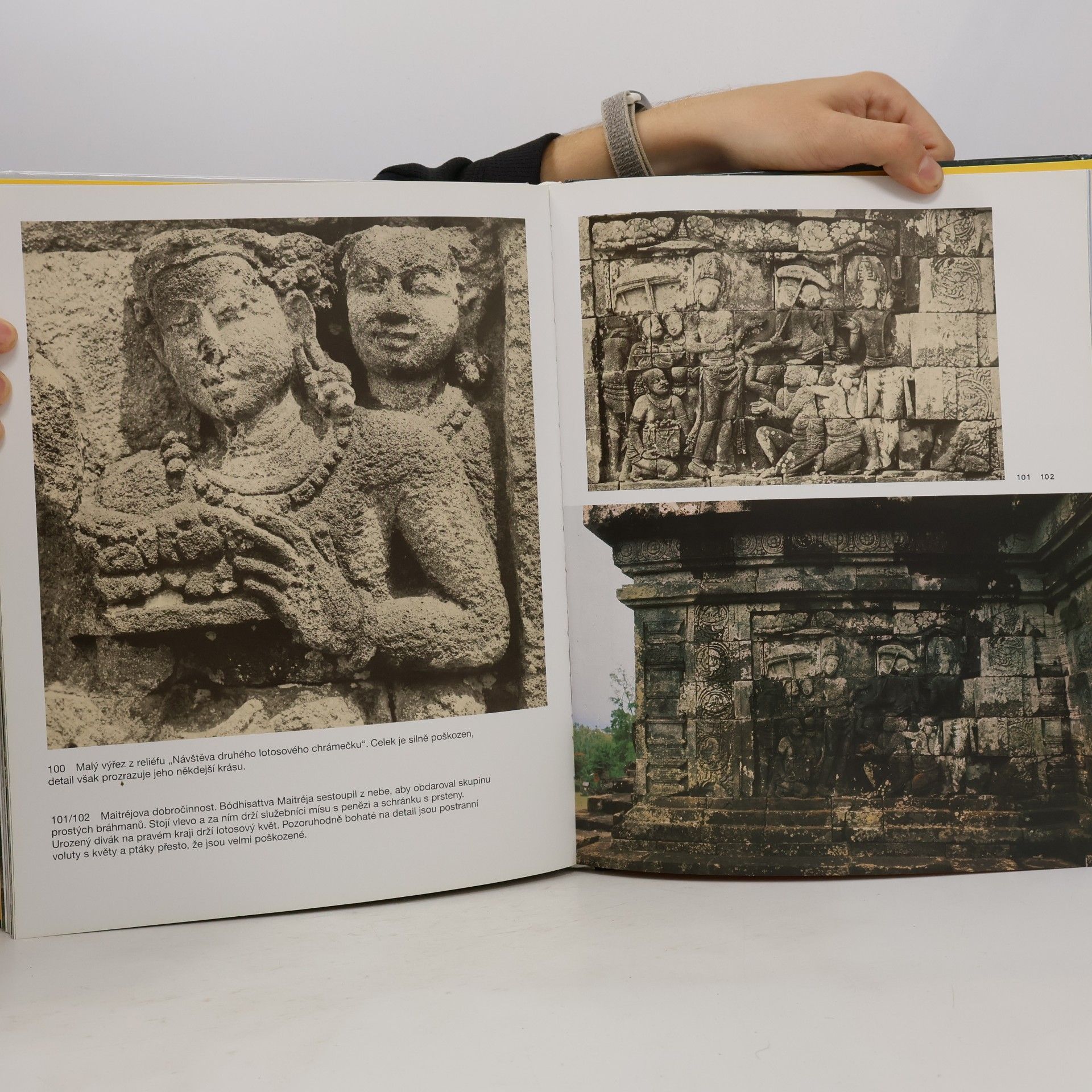 Bedřich Forman Borobudur : kamenná legenda buddhismu
