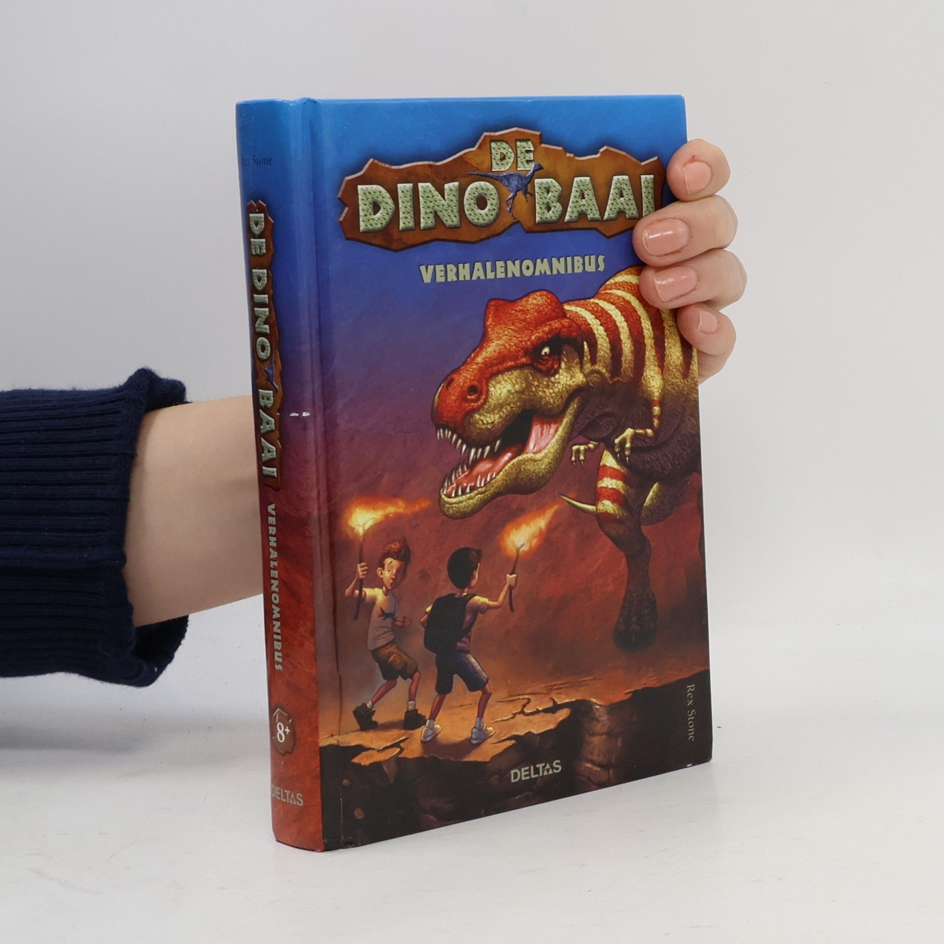 Rex Stone De Dino Baai