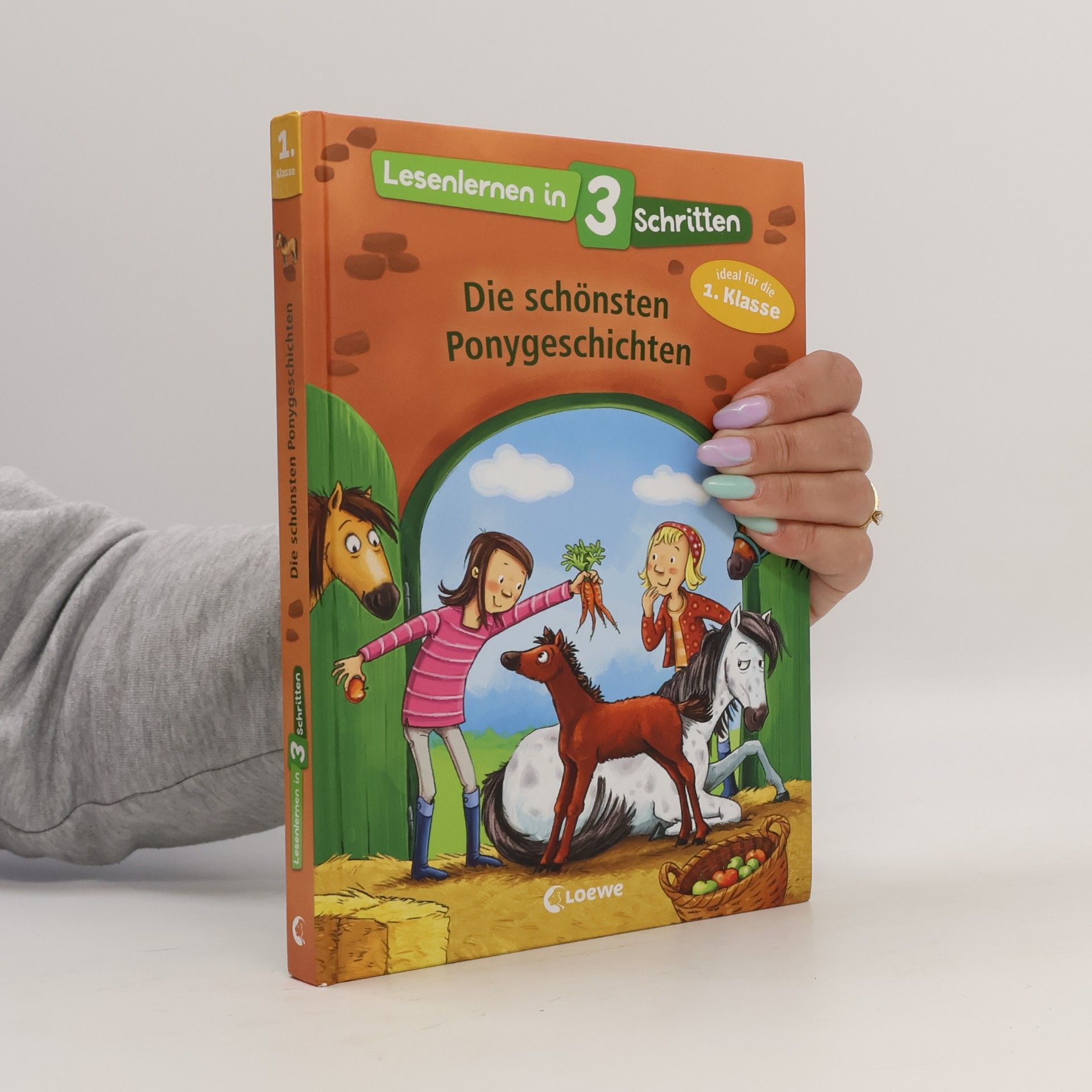 Kolektiv autorů Die schönsten Ponygeschichten