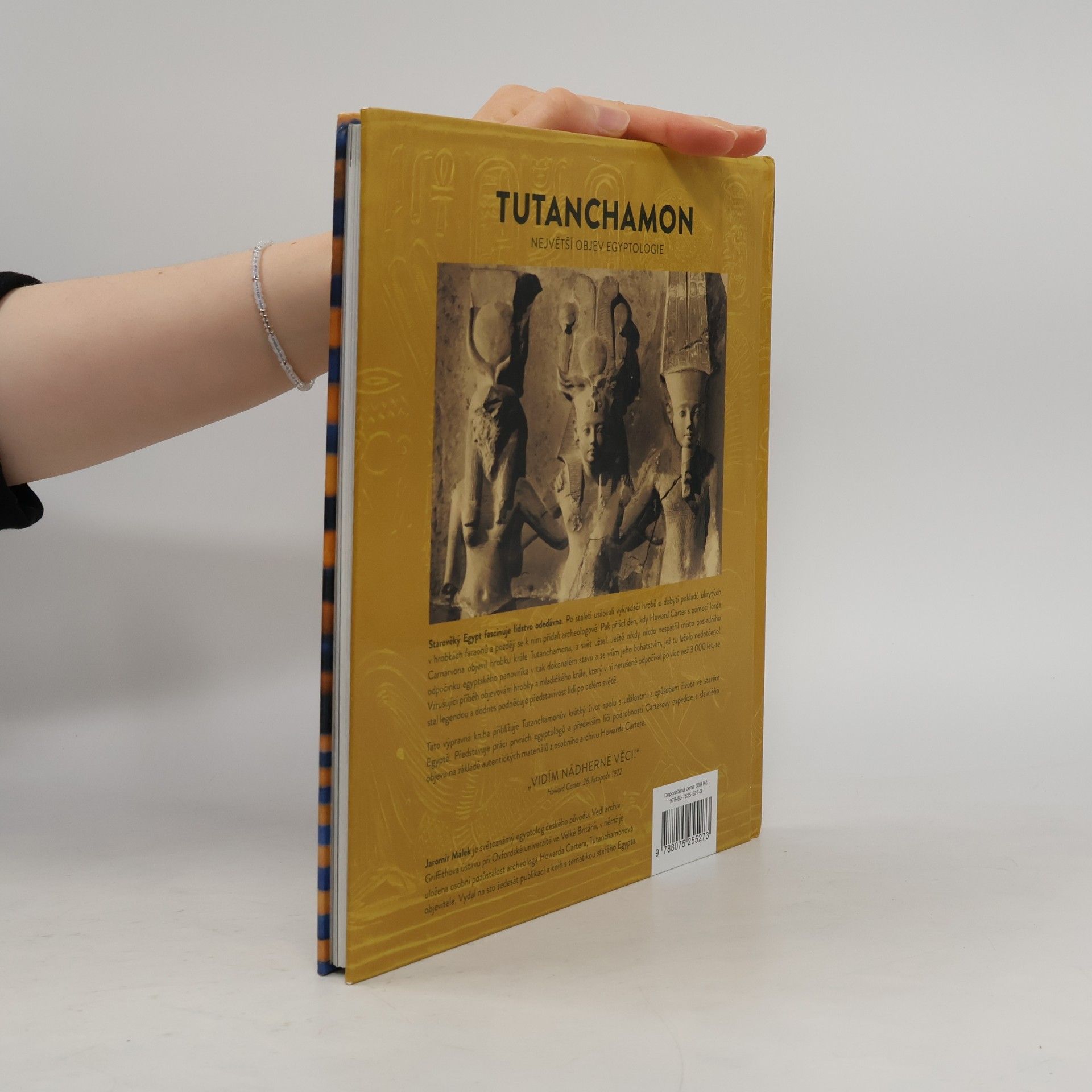 Jaromír Málek Tutanchamon : největší objev egyptologie