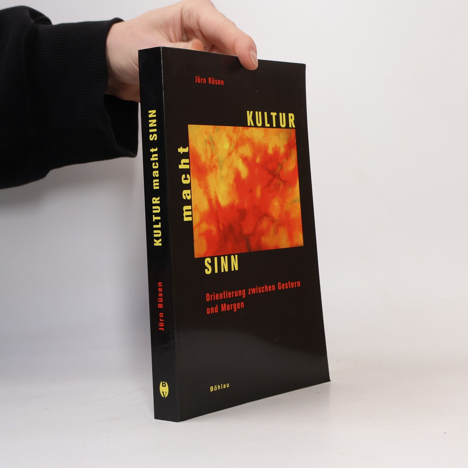 Jörn Rüsen Kultur macht Sinn