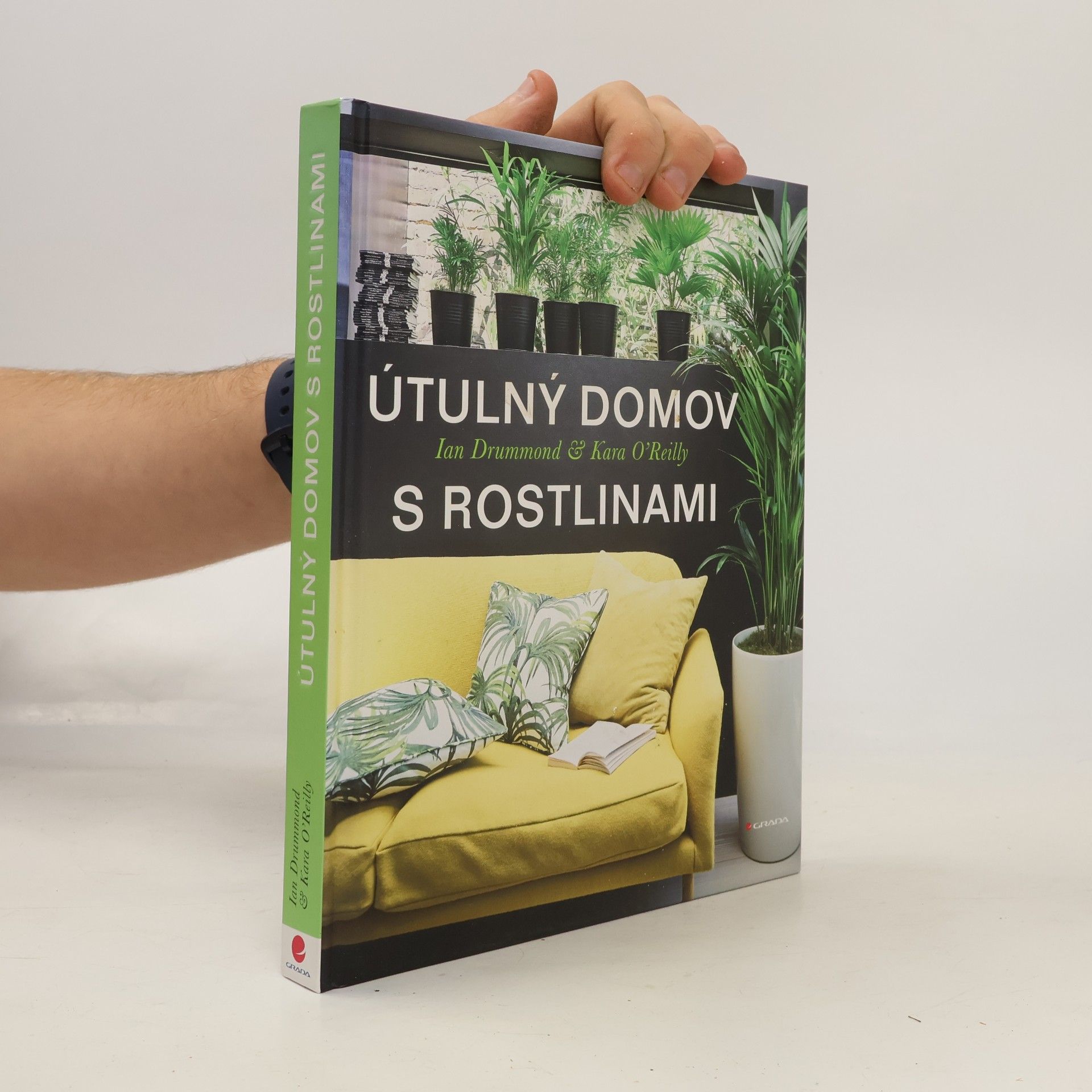 Útulný domov s rostlinami