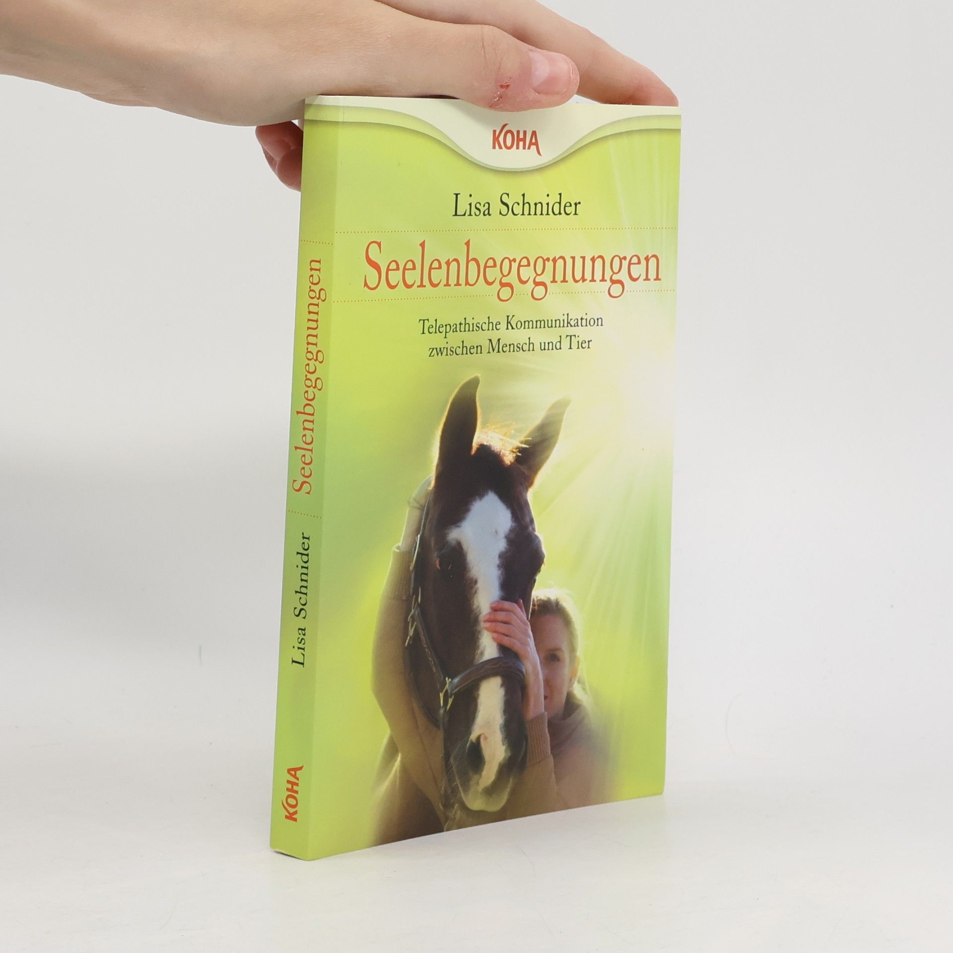 Lisa Schnider Seelenbegegnungen