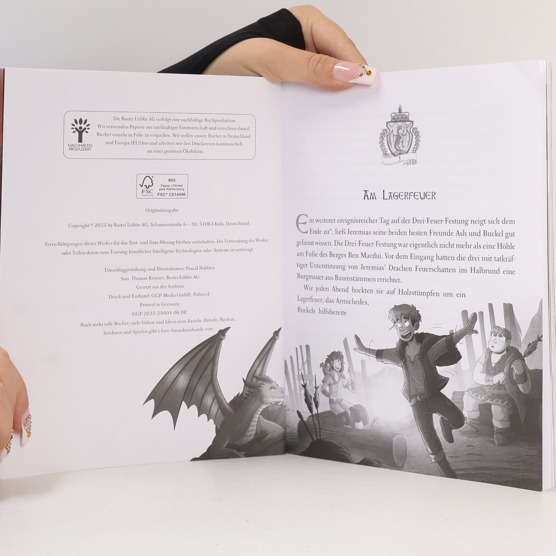 Emily Skye Die geheime Drachenschule. Die Fährende Bibliothek