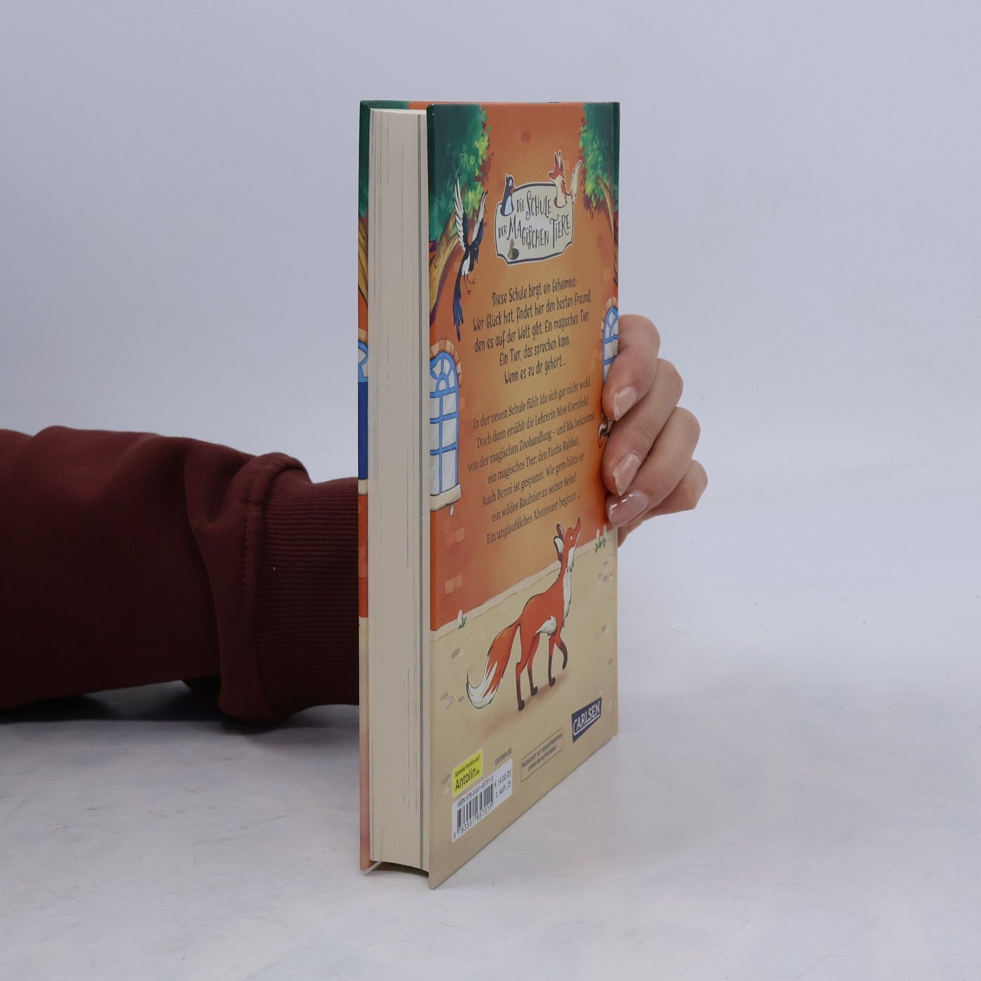 Margit Auer Die Schule der magischen Tiere Neuausgabe 1: Die Schule der magischen Tiere