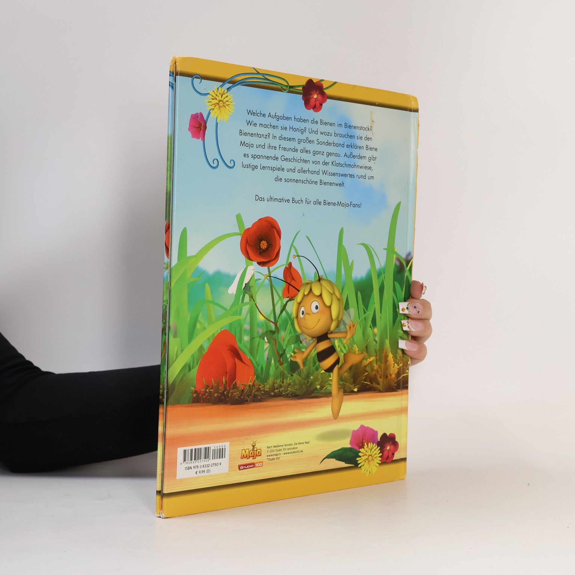 Jan Van Rijsselberge Mein großes Biene Maja-Buch