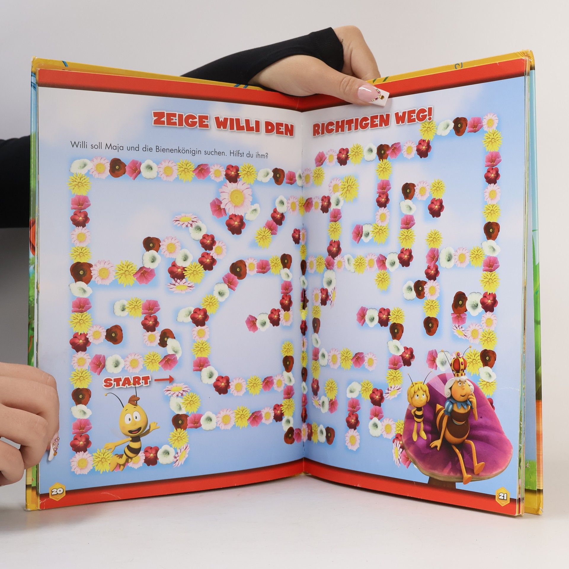 Jan Van Rijsselberge Mein großes Biene Maja-Buch