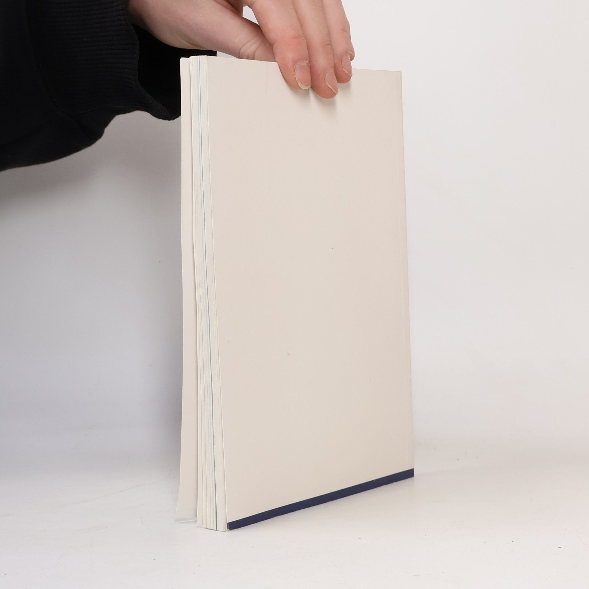 Rolf Wiese Schriften des Freilichtmuseums am Kiekeberg: Museumsführer Freilichtmuseum am Kiekeberg