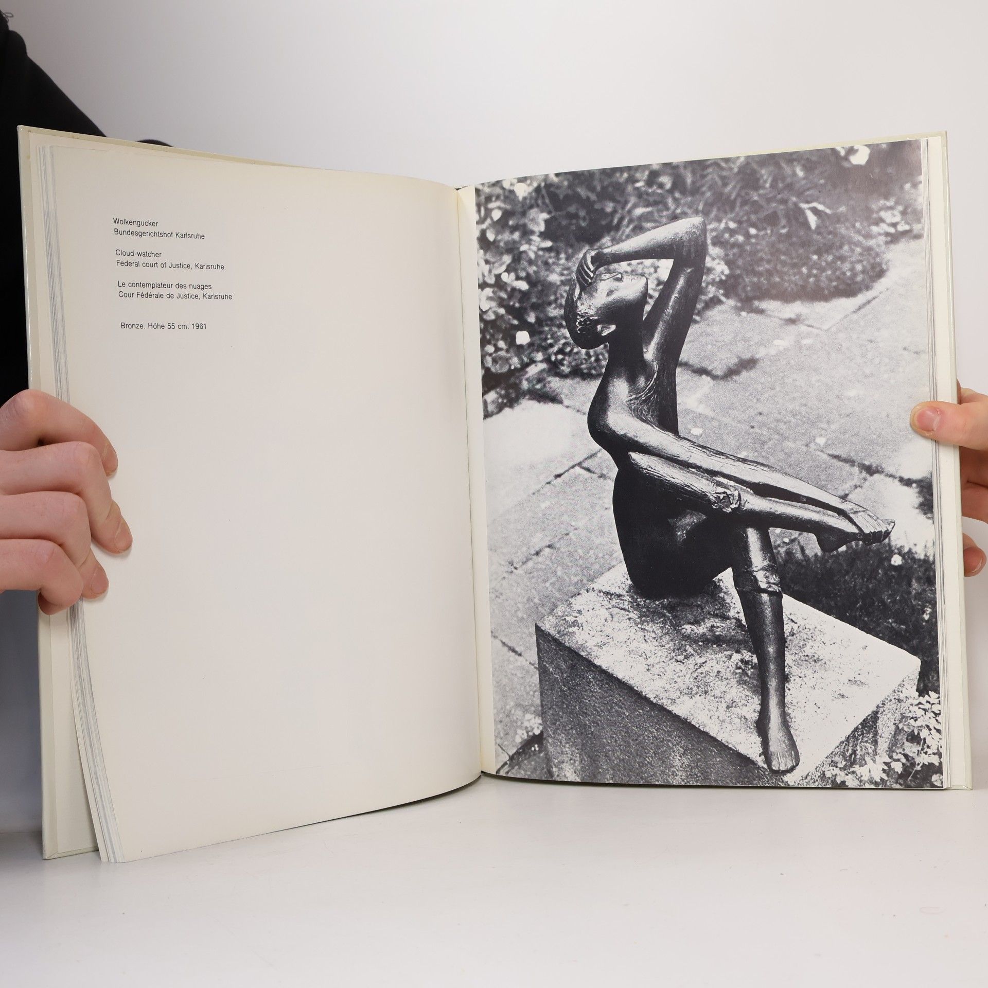 Karlheinz Goedtke Schriftenreihe der Stiftung Herzogtum Lauenburg - 1: Der Bildhauer Karlheinz Goedtke