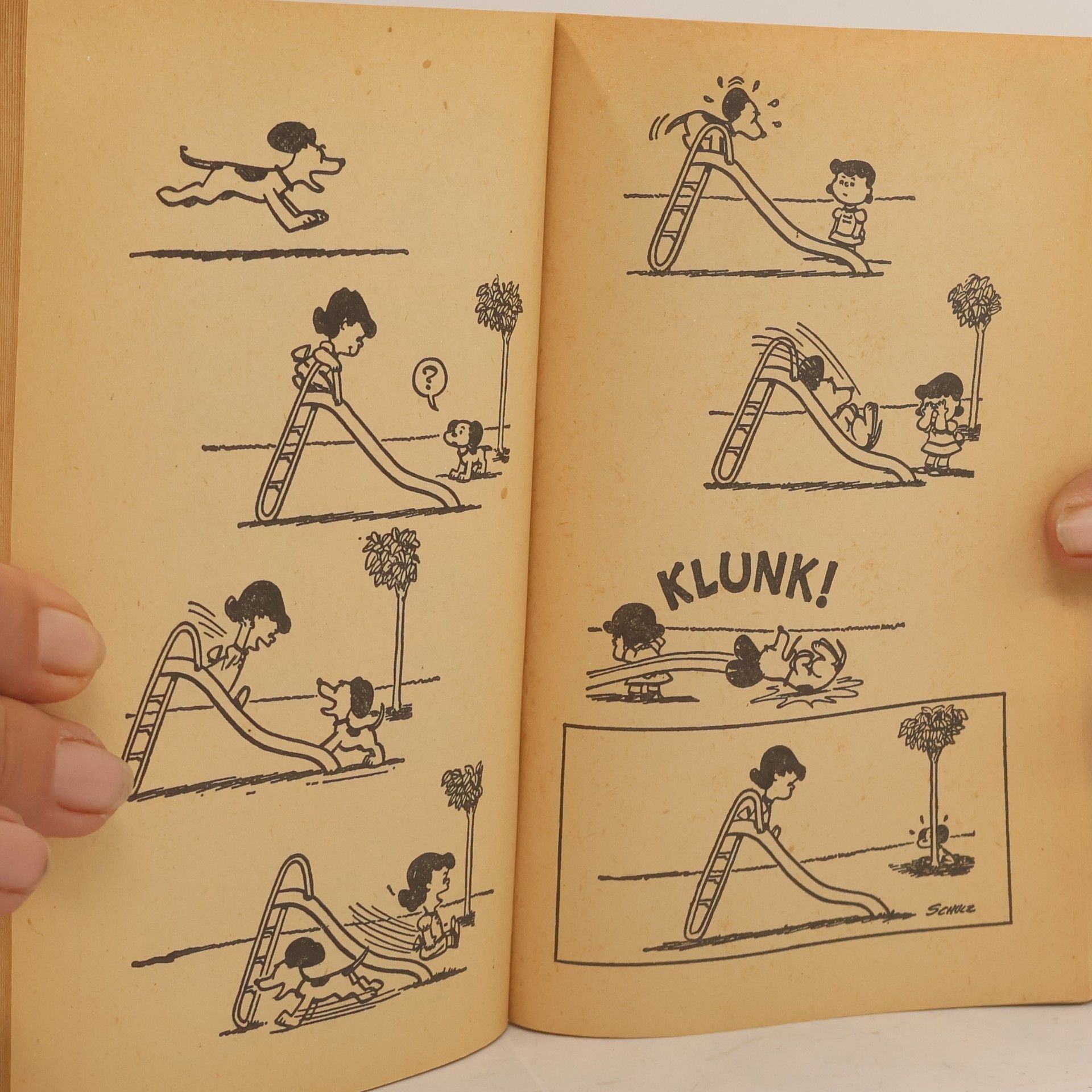 Charles M. Schulz For the Love of Peanuts!