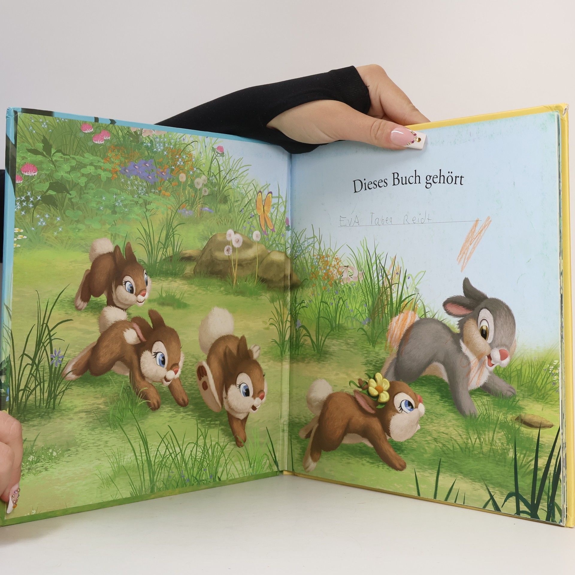 Walt Disney Klopfers Neuer Freund. Storybuch