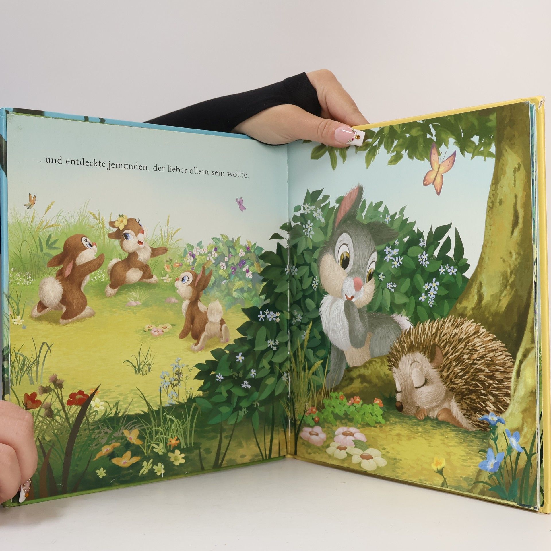 Walt Disney Klopfers Neuer Freund. Storybuch