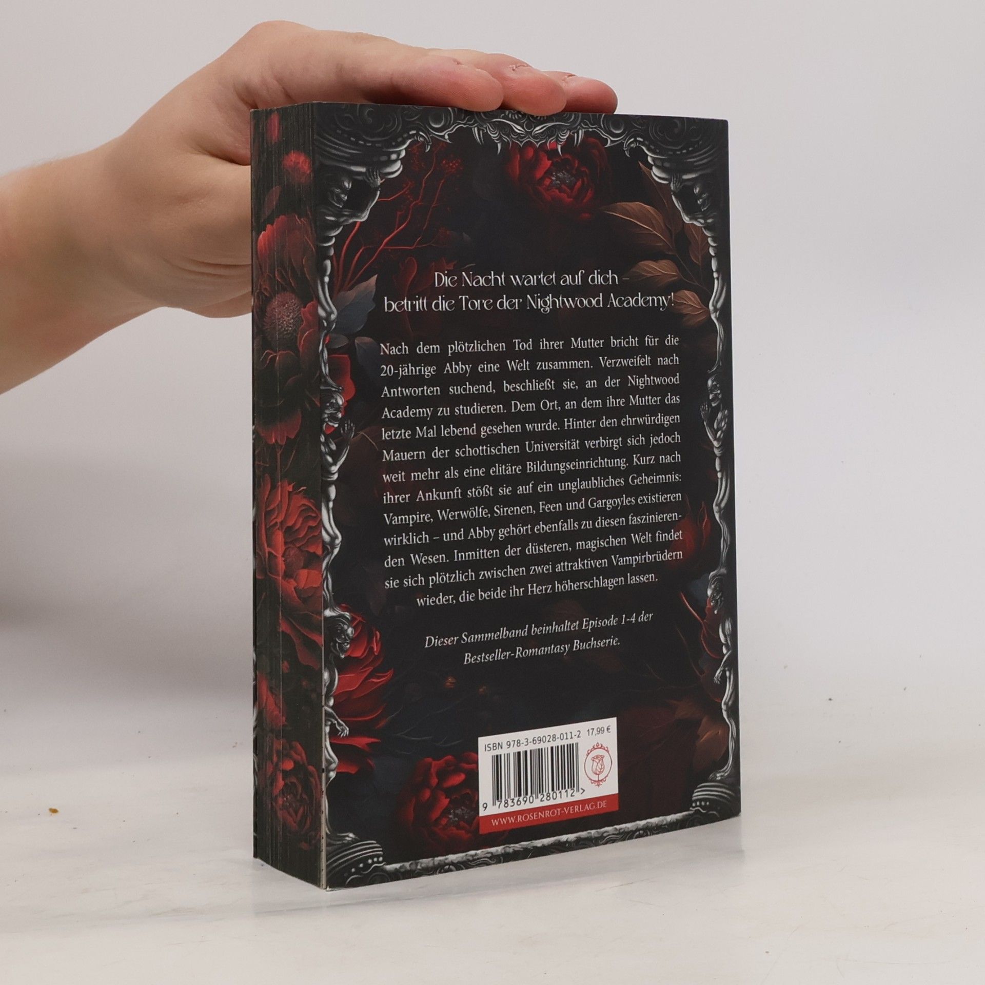 Amber Auburn Dark Romantasy Serie - 1: Nightwood Academy