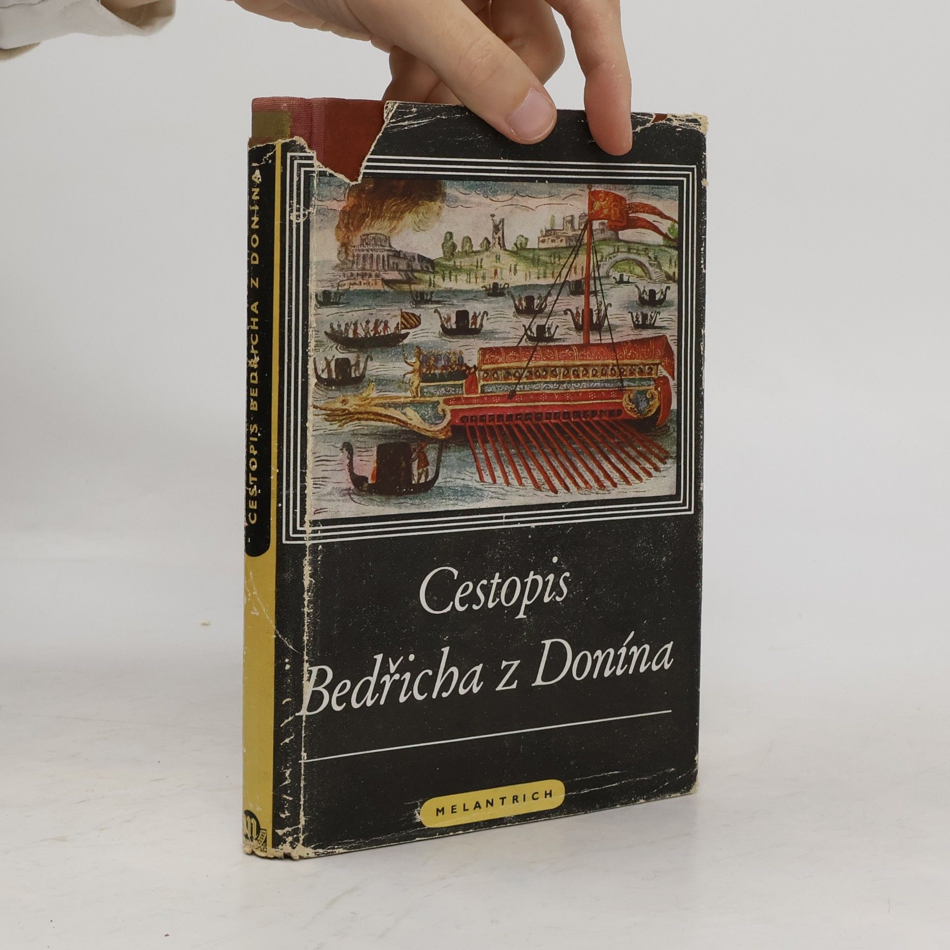 Cestopis Bedřicha z Donína