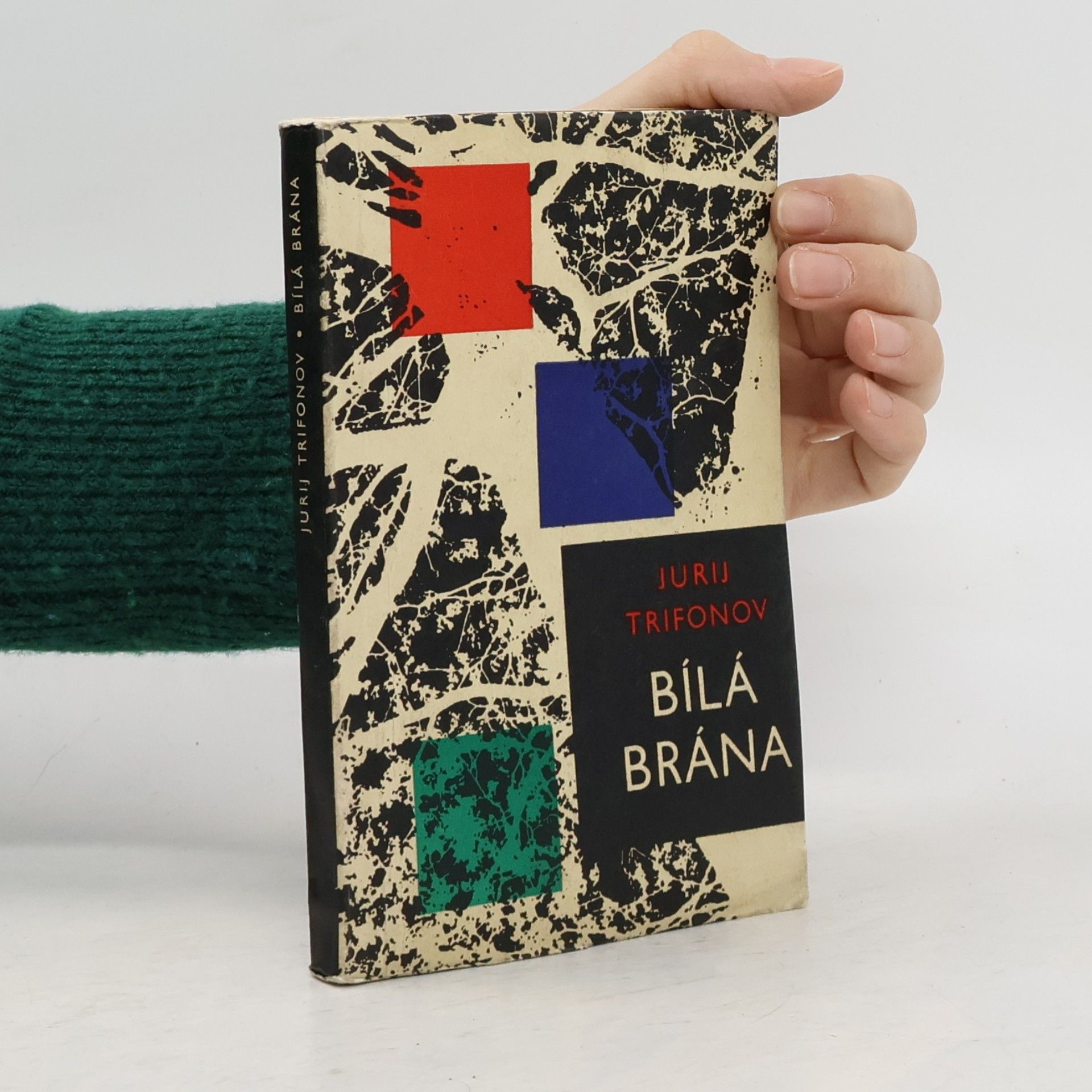 Jurij Trifonov Bílá brána