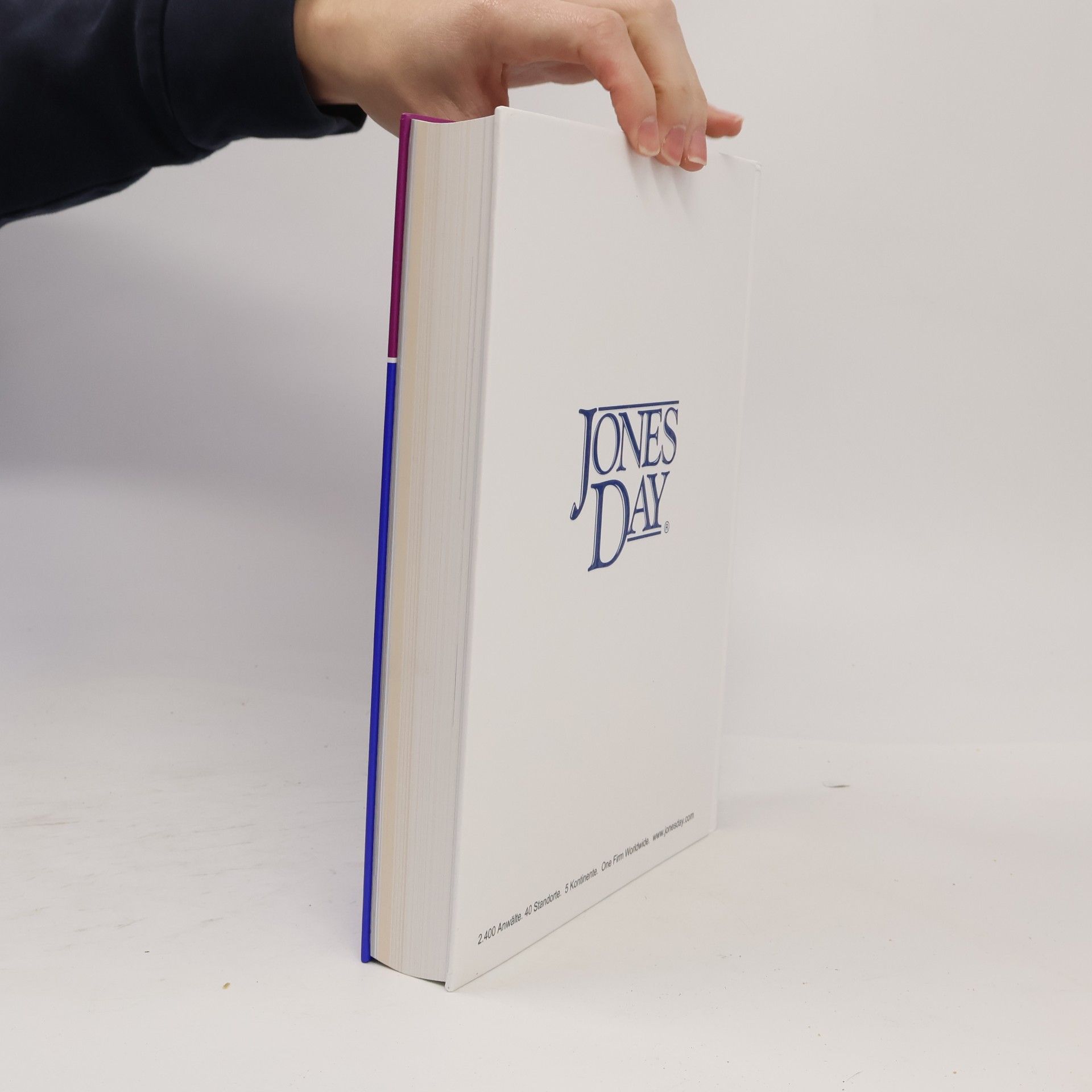 Various authors JUVE Handbuch Wirtschaftskanzleien 2024/2025