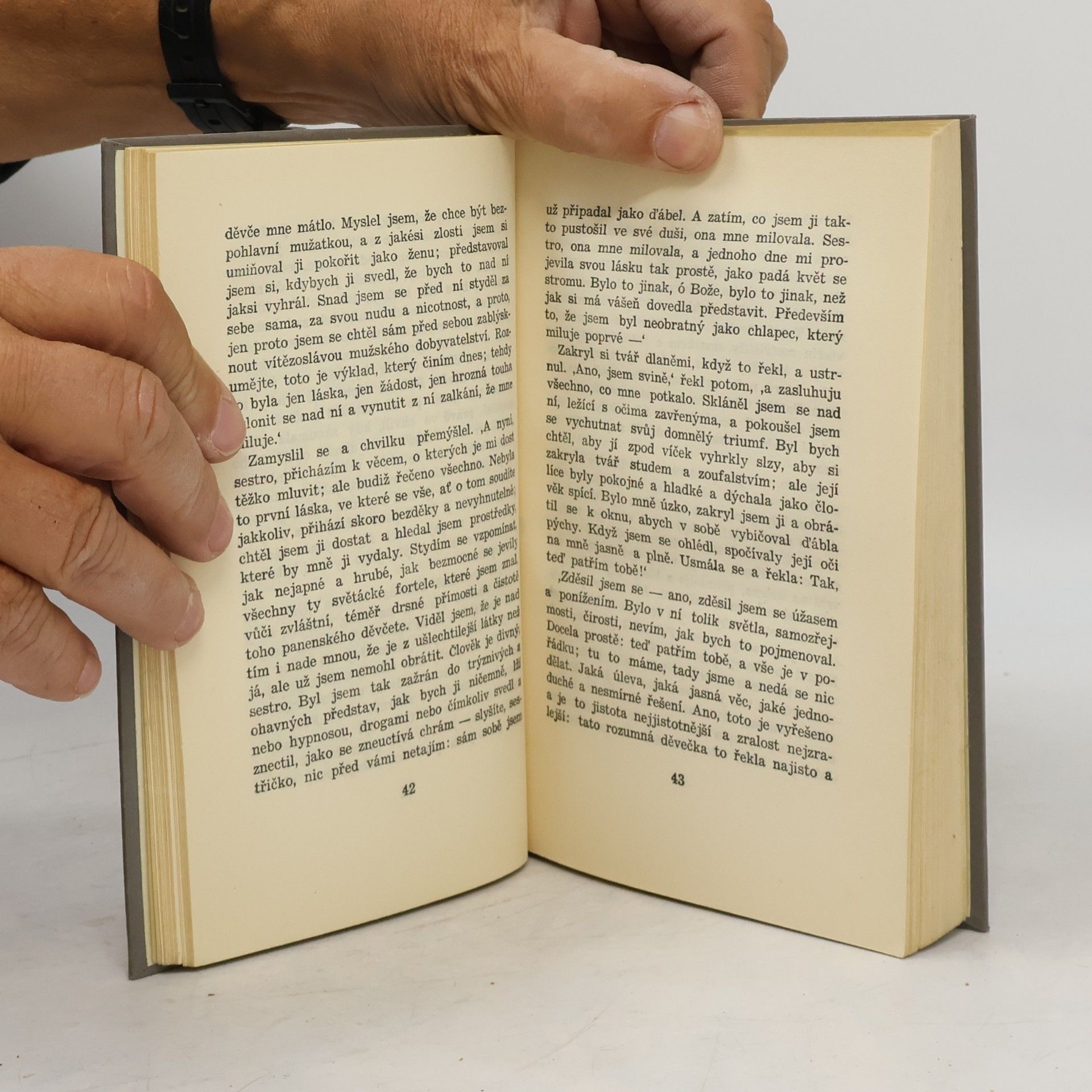 Karel Čapek Spisy bratří Čapků: Povětroň
