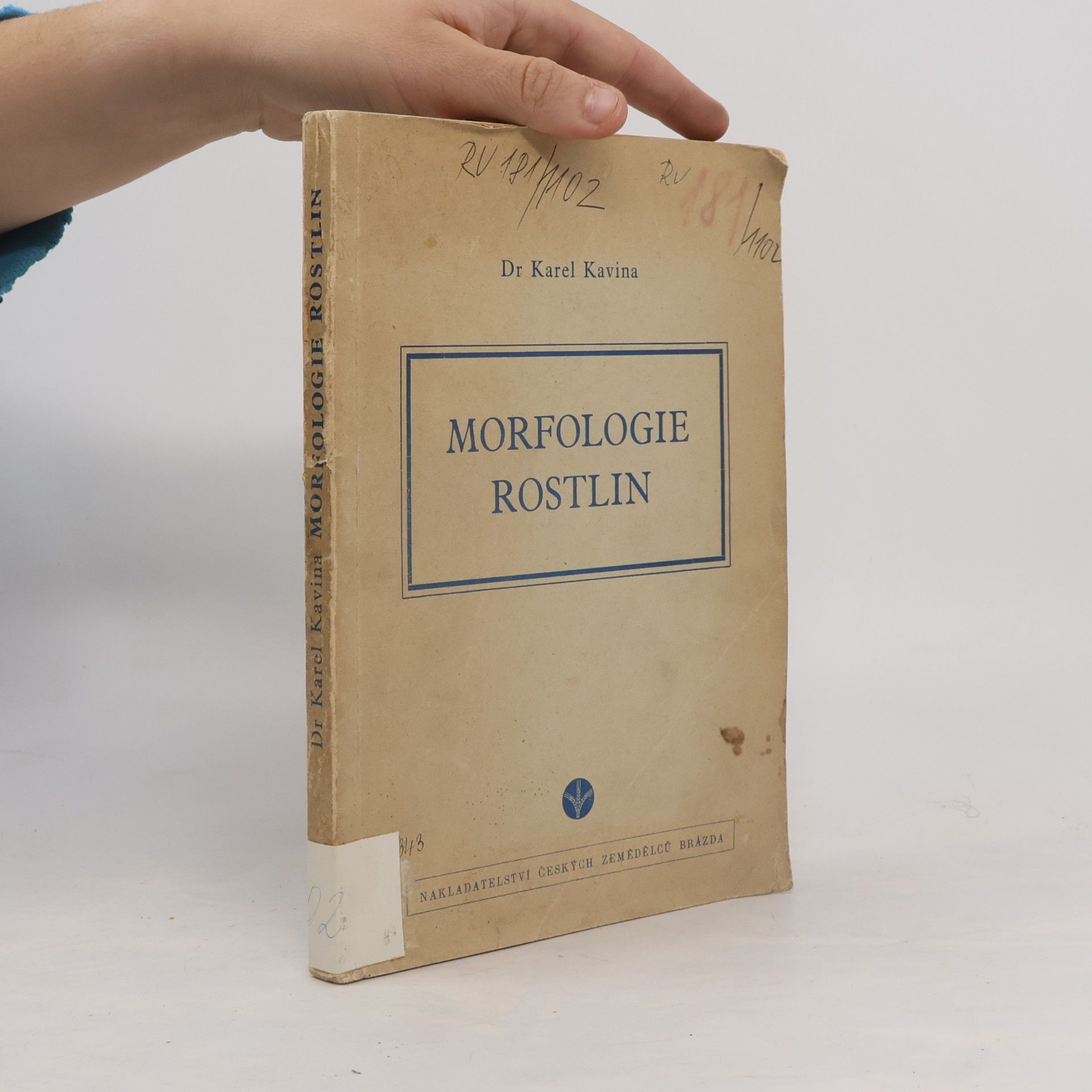 Morfologie rostlin