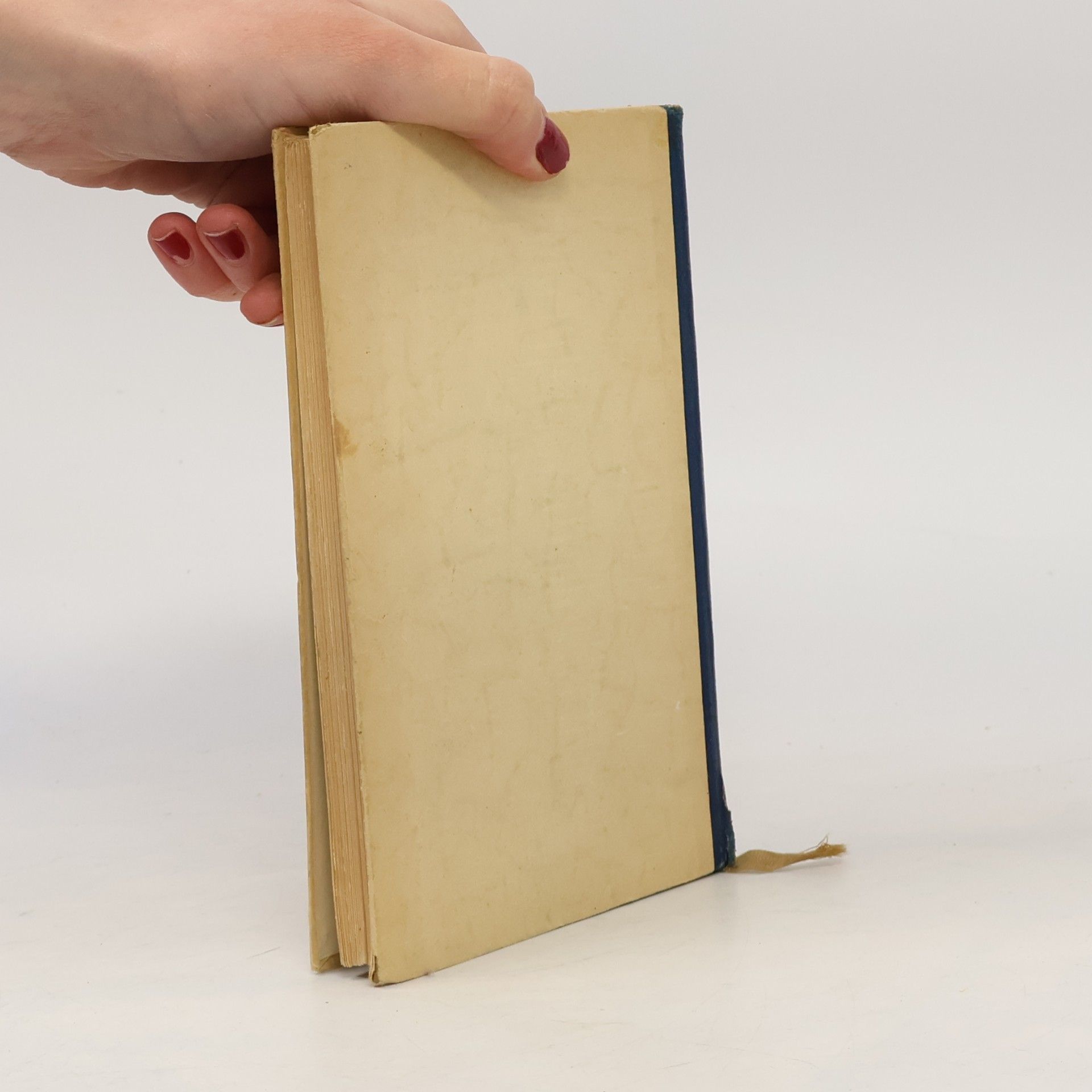 Goethe Die Leiden des jungen Werthers