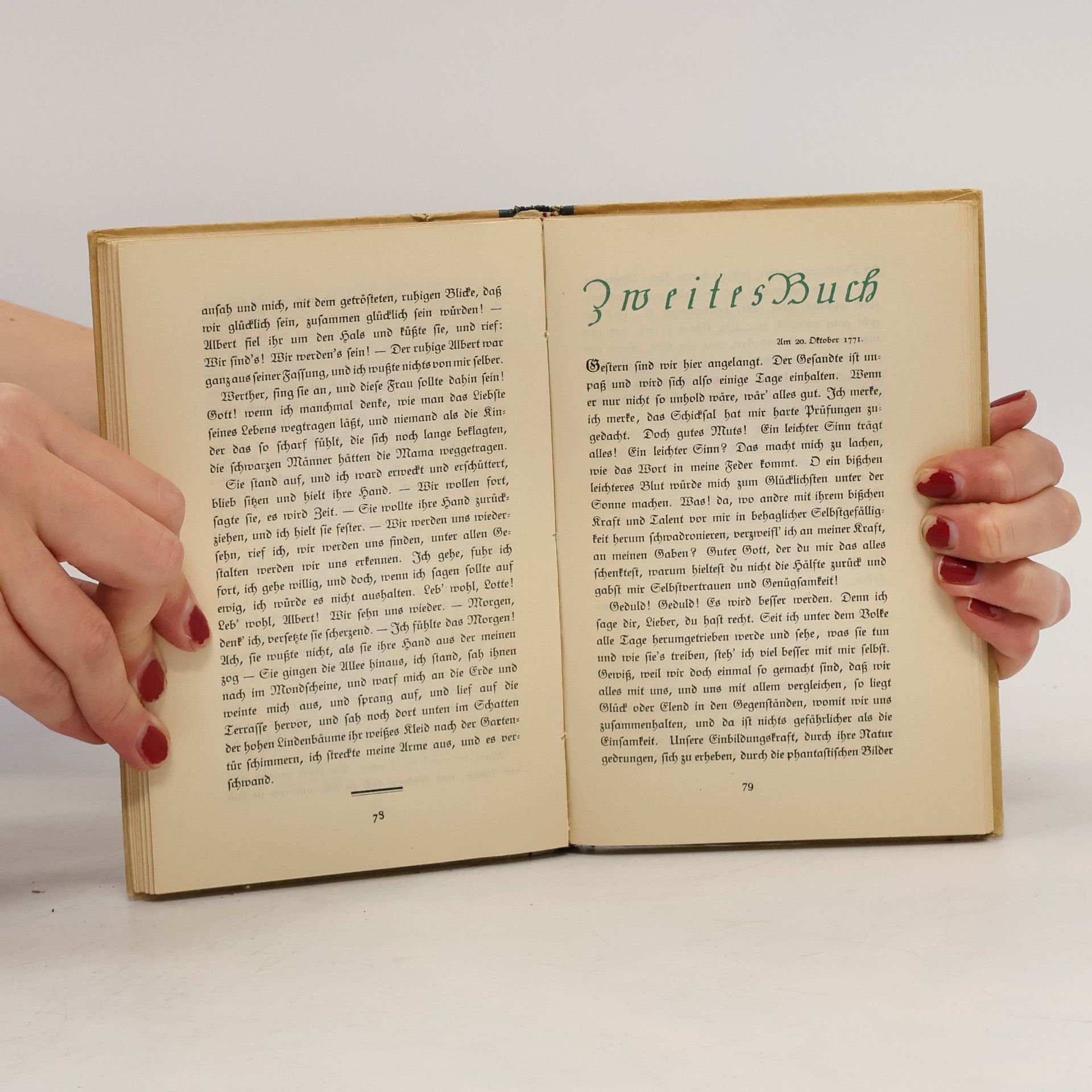 Goethe Die Leiden des jungen Werthers