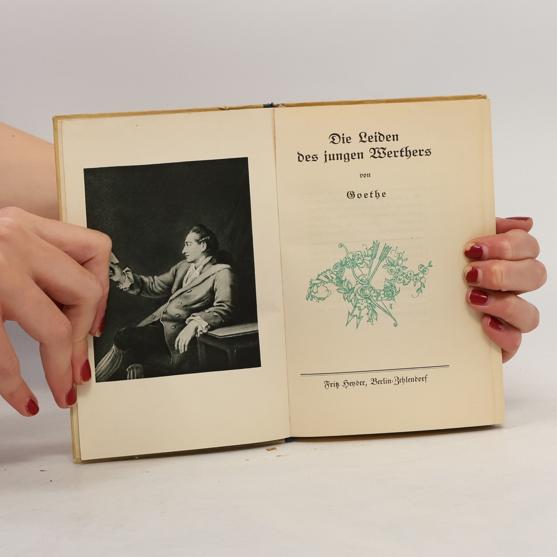 Goethe Die Leiden des jungen Werthers