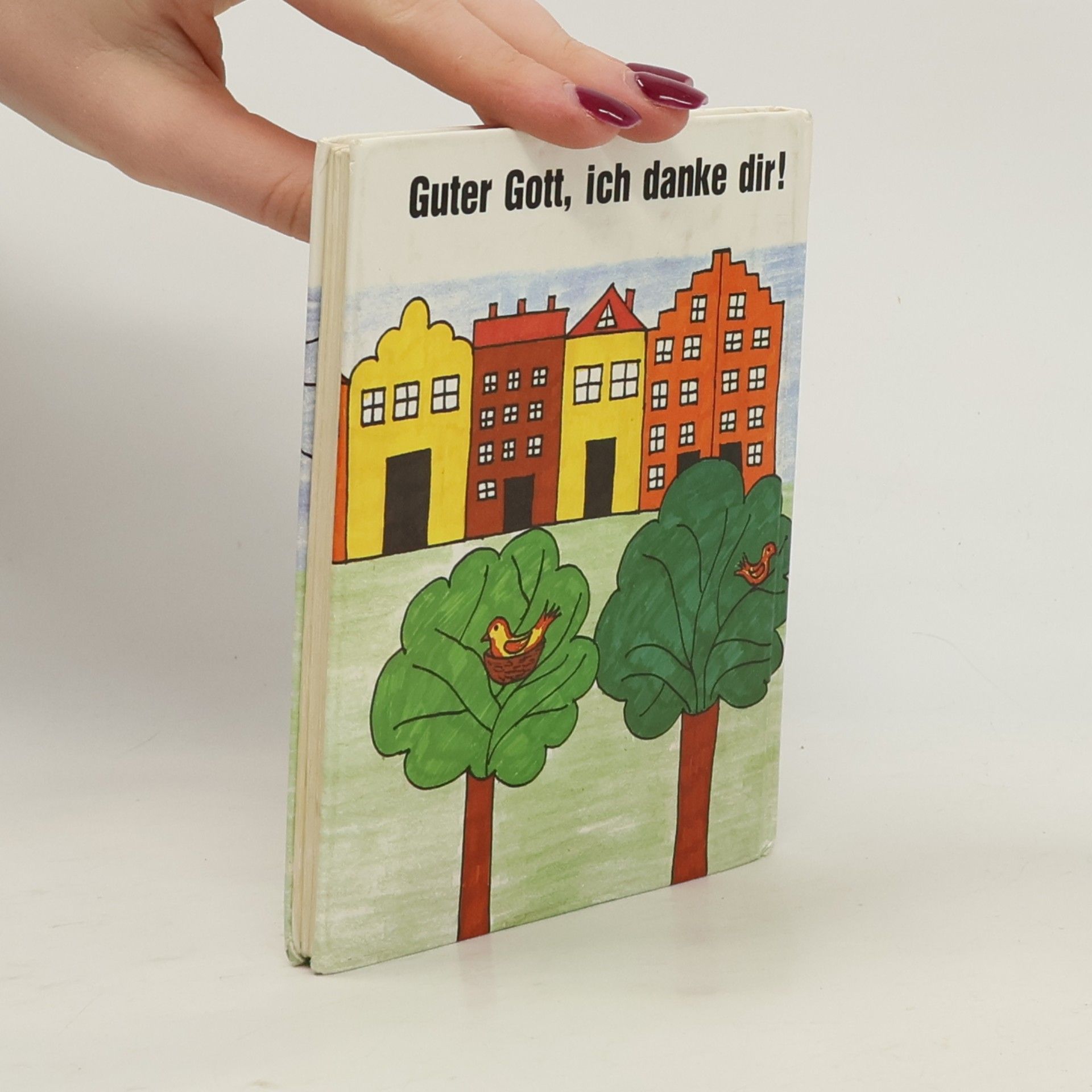 Kolektiv autorů Guter Gott, Ich Danke Dir!