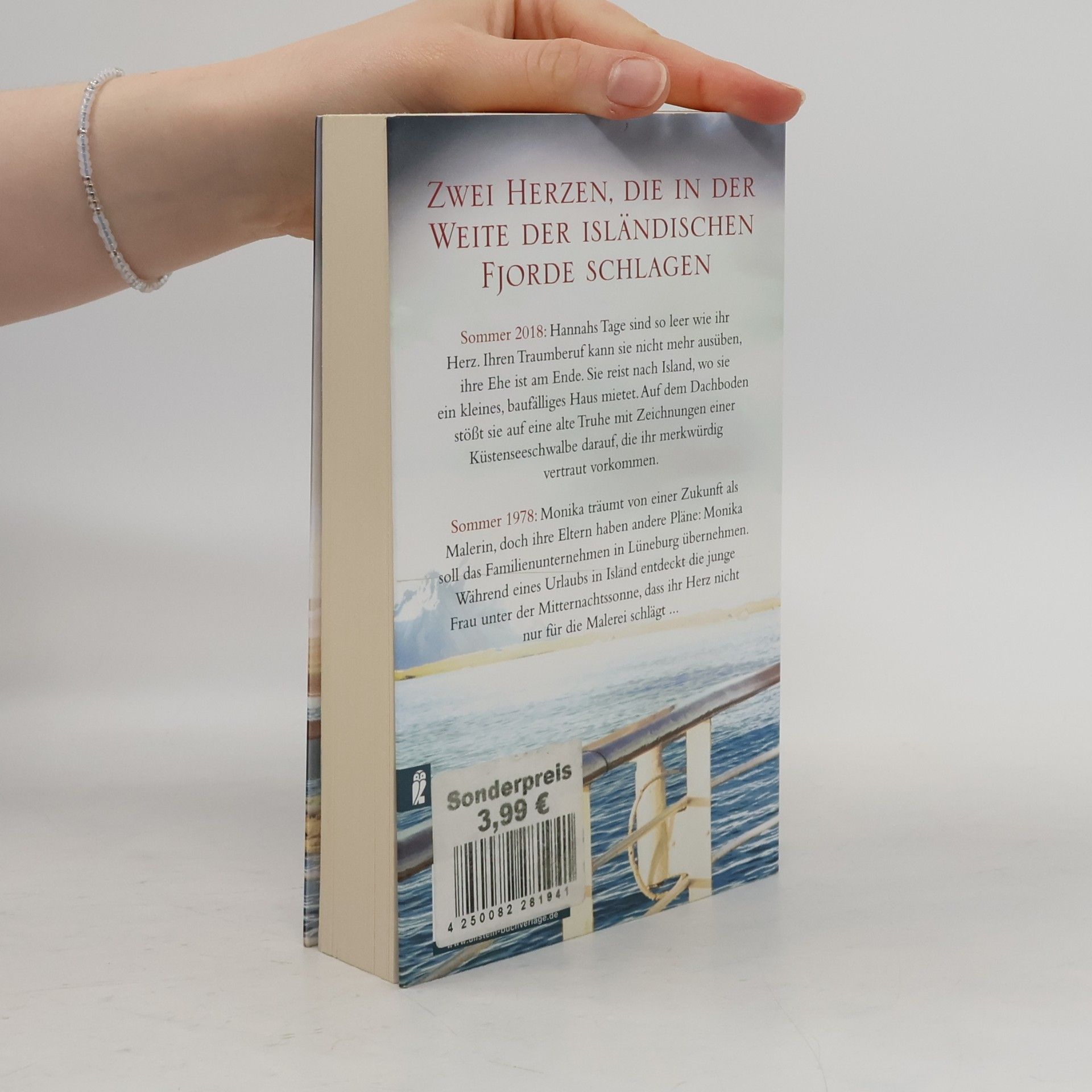 Karin Baldvinsson Der Sommer der Islandtöchter