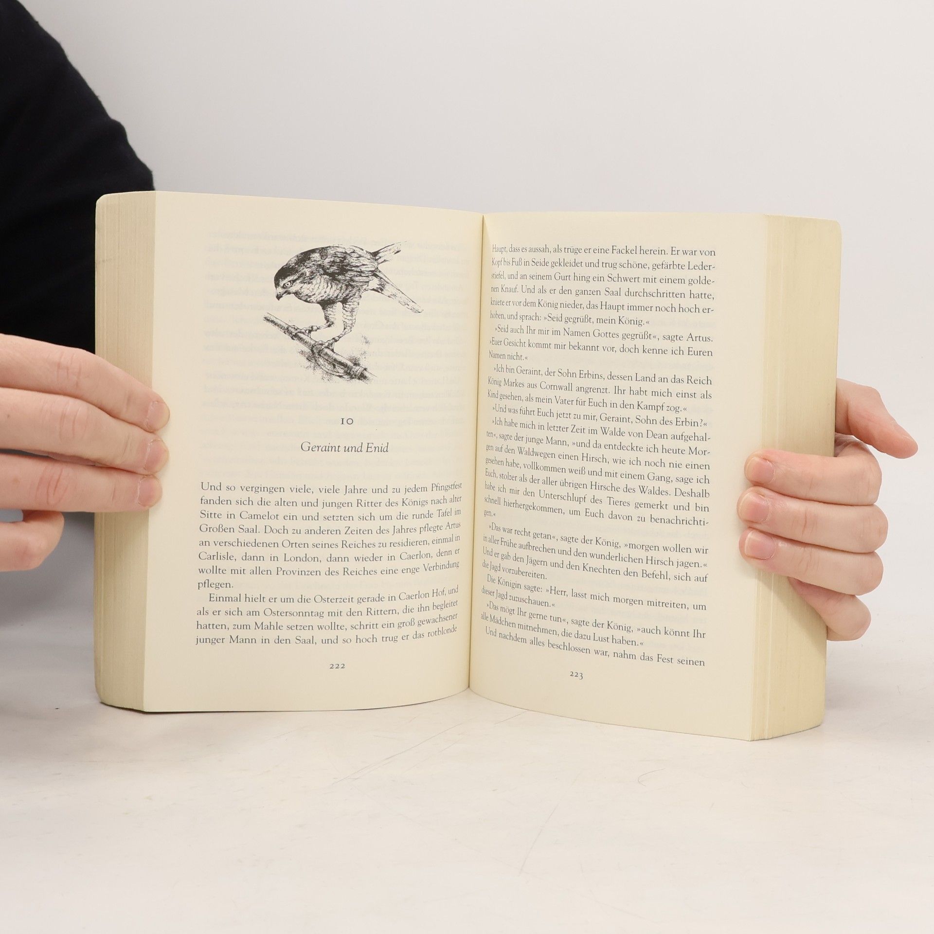 Rosemary Sutcliff König Artus und die Abenteuer der Ritter der Tafelrunde