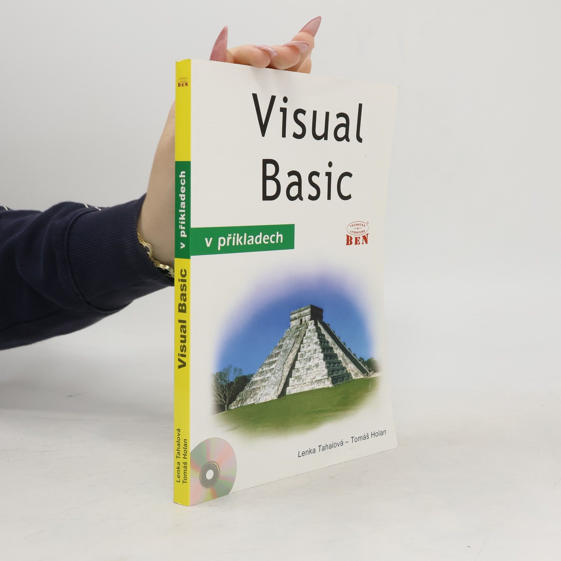 Visual Basic v příkladech