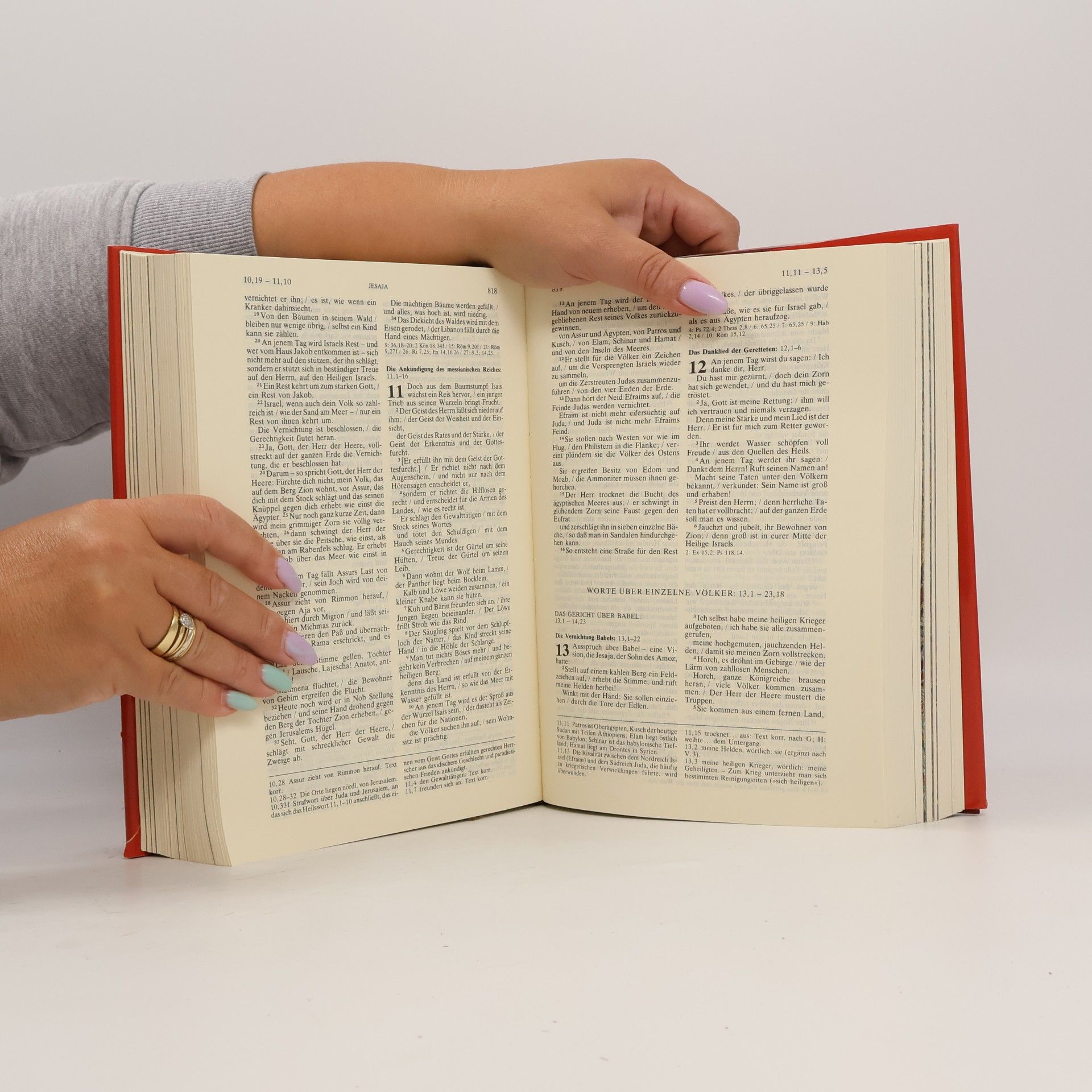 Autorenkollektiv Illustrierte Familienbibel