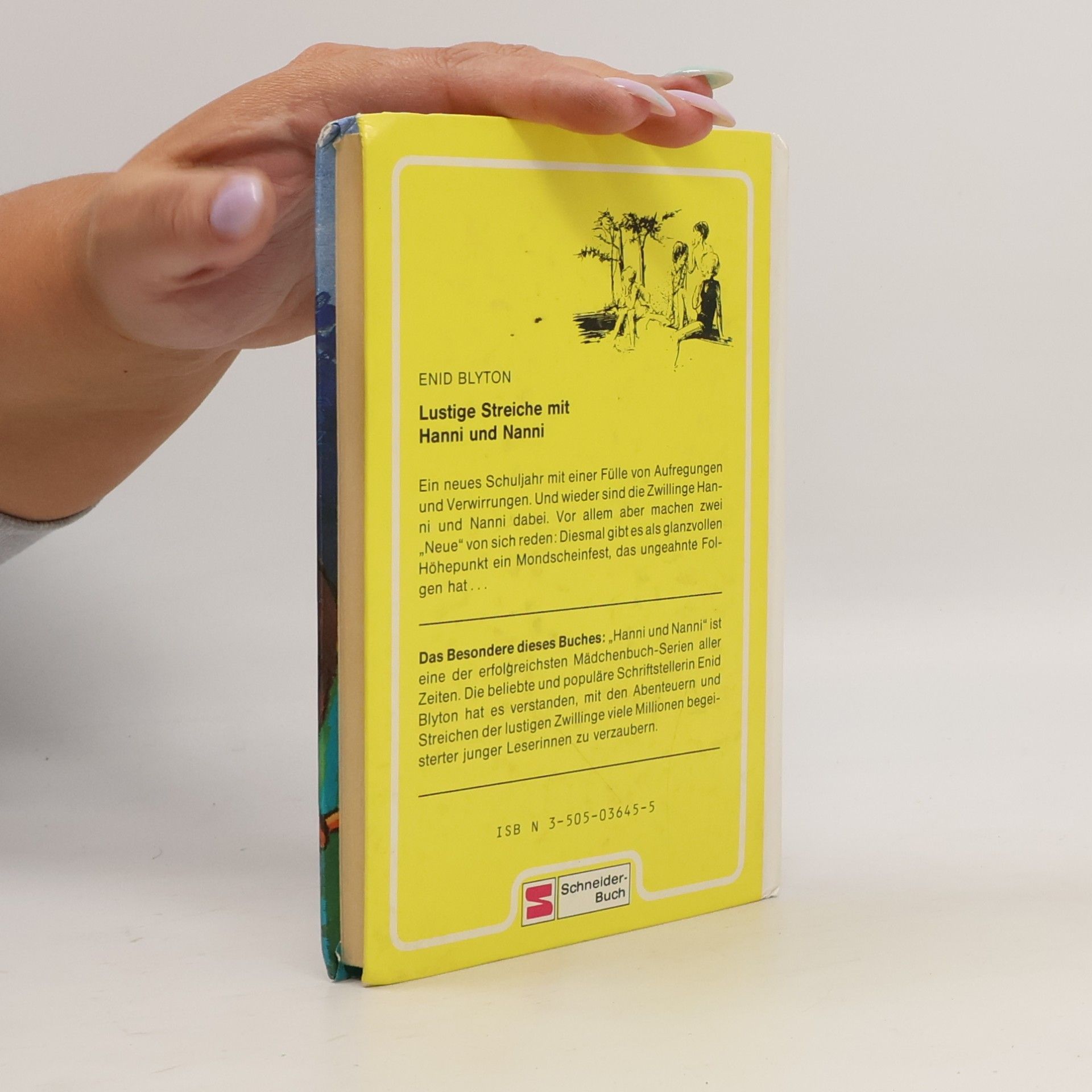 Enid Blyton Lustige Streiche mit Hanni und Nanni