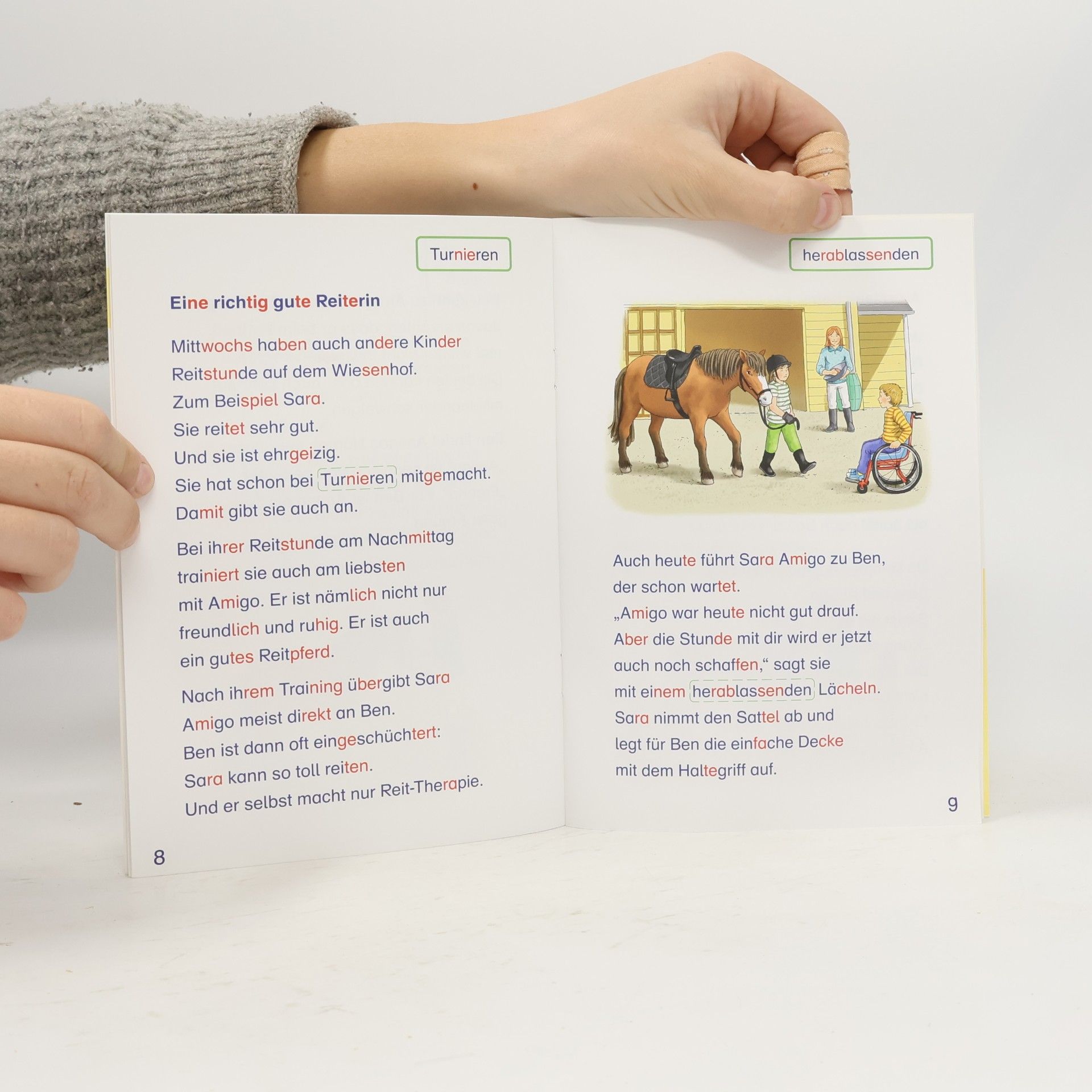 Stefanie Drecktrah ABC der Tiere 2 - 9: Neues aus Mildenberg – Mein Freund Amigo