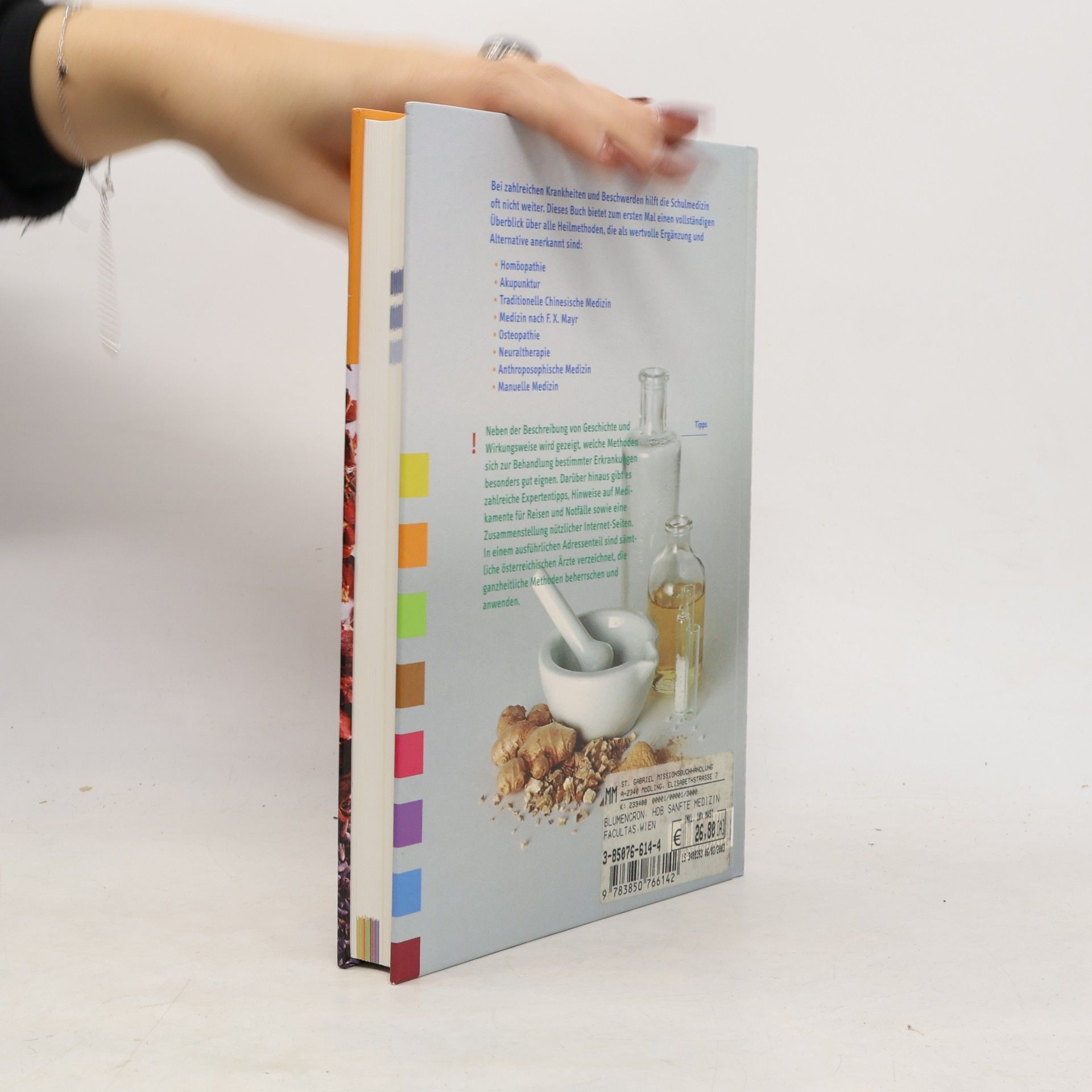 Britta Blumencron Handbuch der sanften Medizin