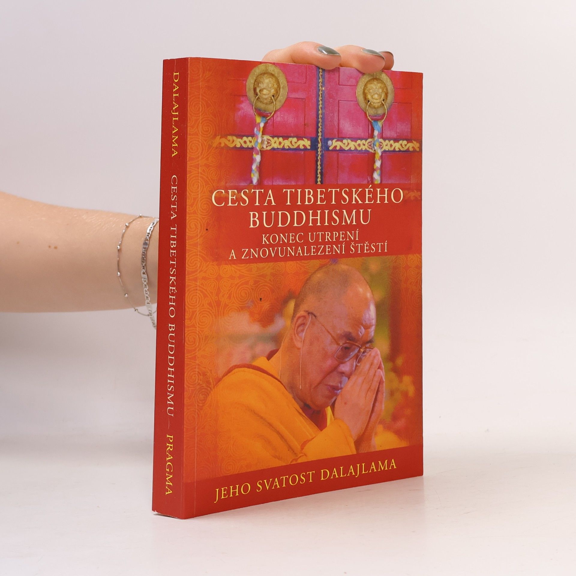 Dalajlama Cesta tibetského buddhismu: Konec utrpení a znovunalezení štěstí