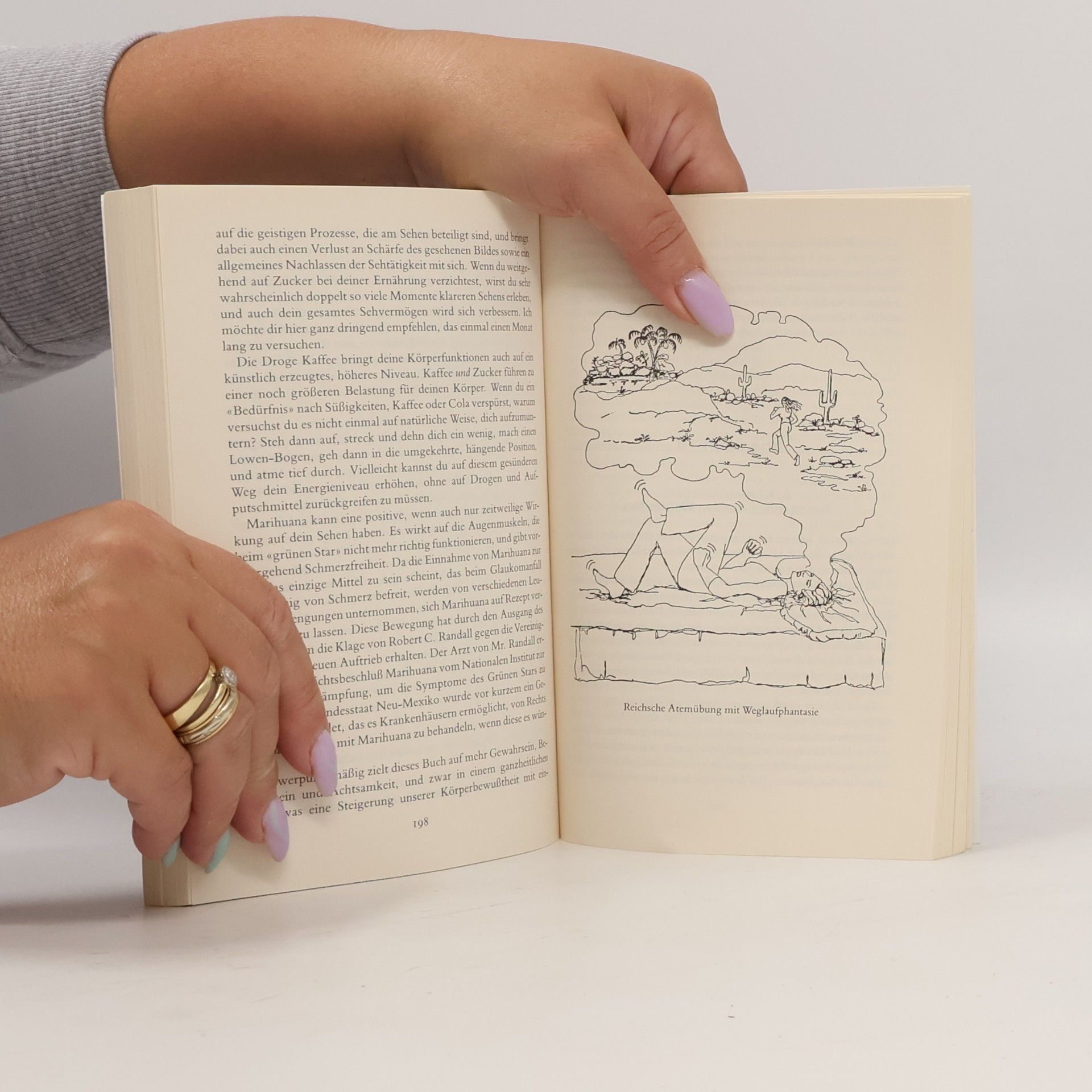 Lisette Scholl Das Augenübungsbuch
