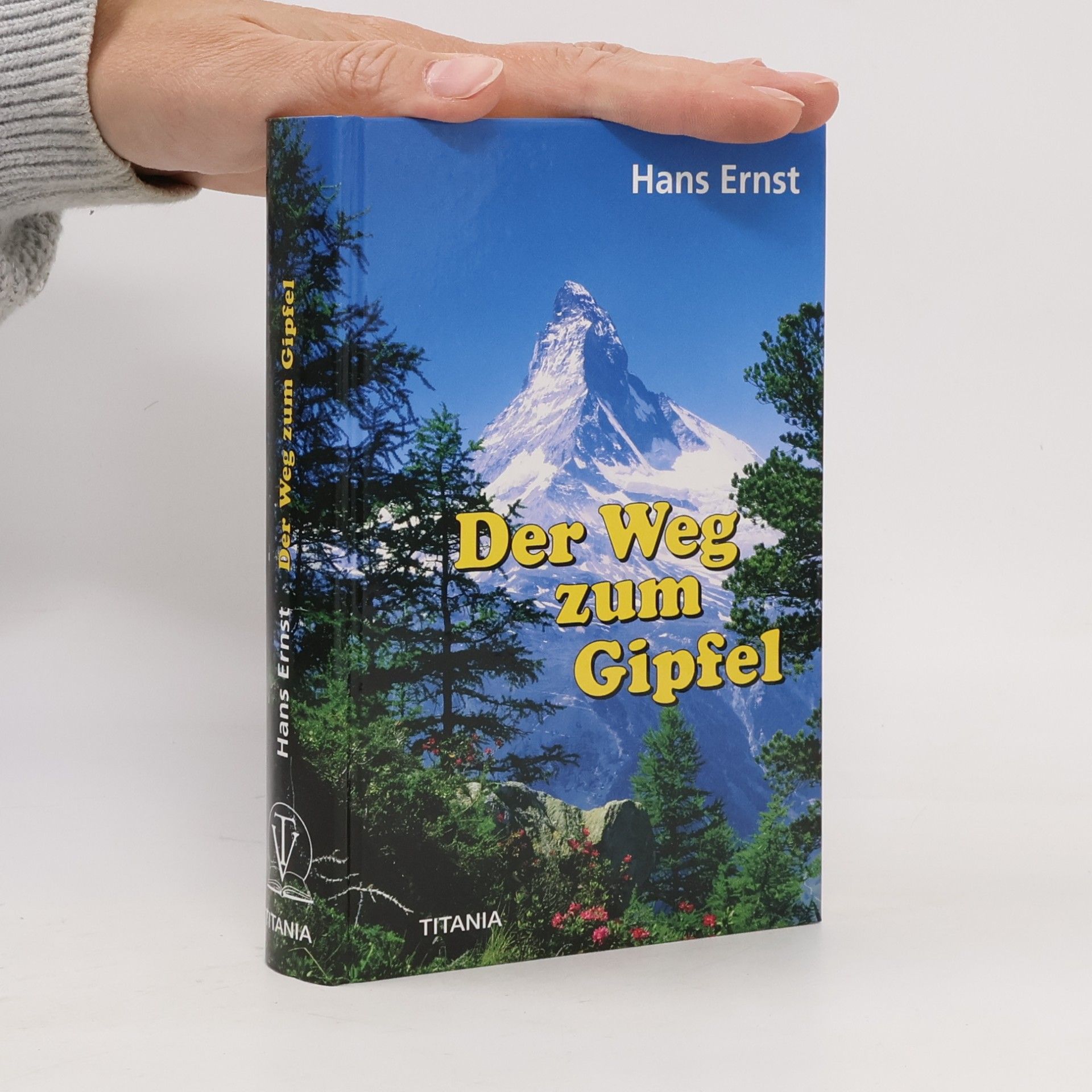 Hans Ernst Der Weg zum Gipfel